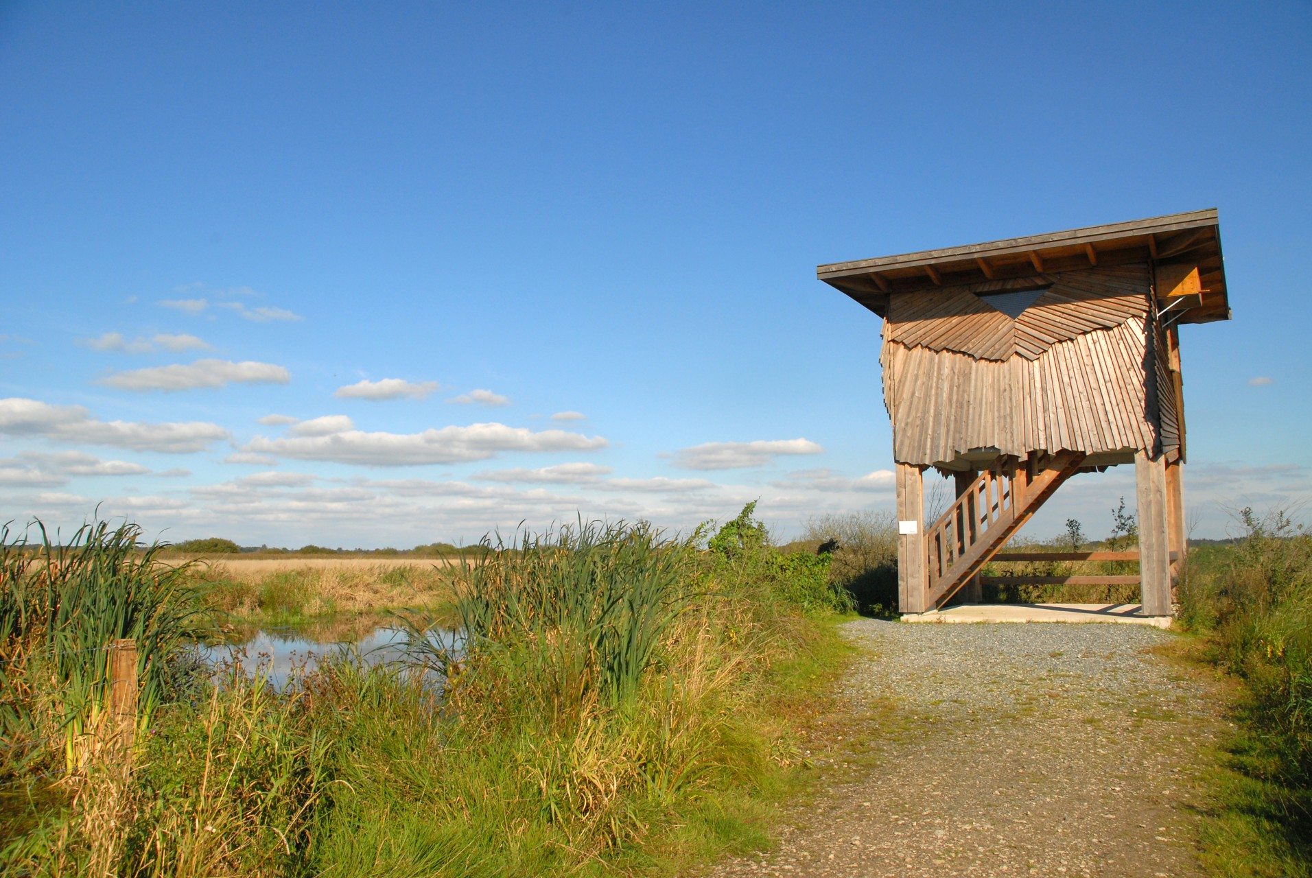 Feuchtgebiet Polder Glies