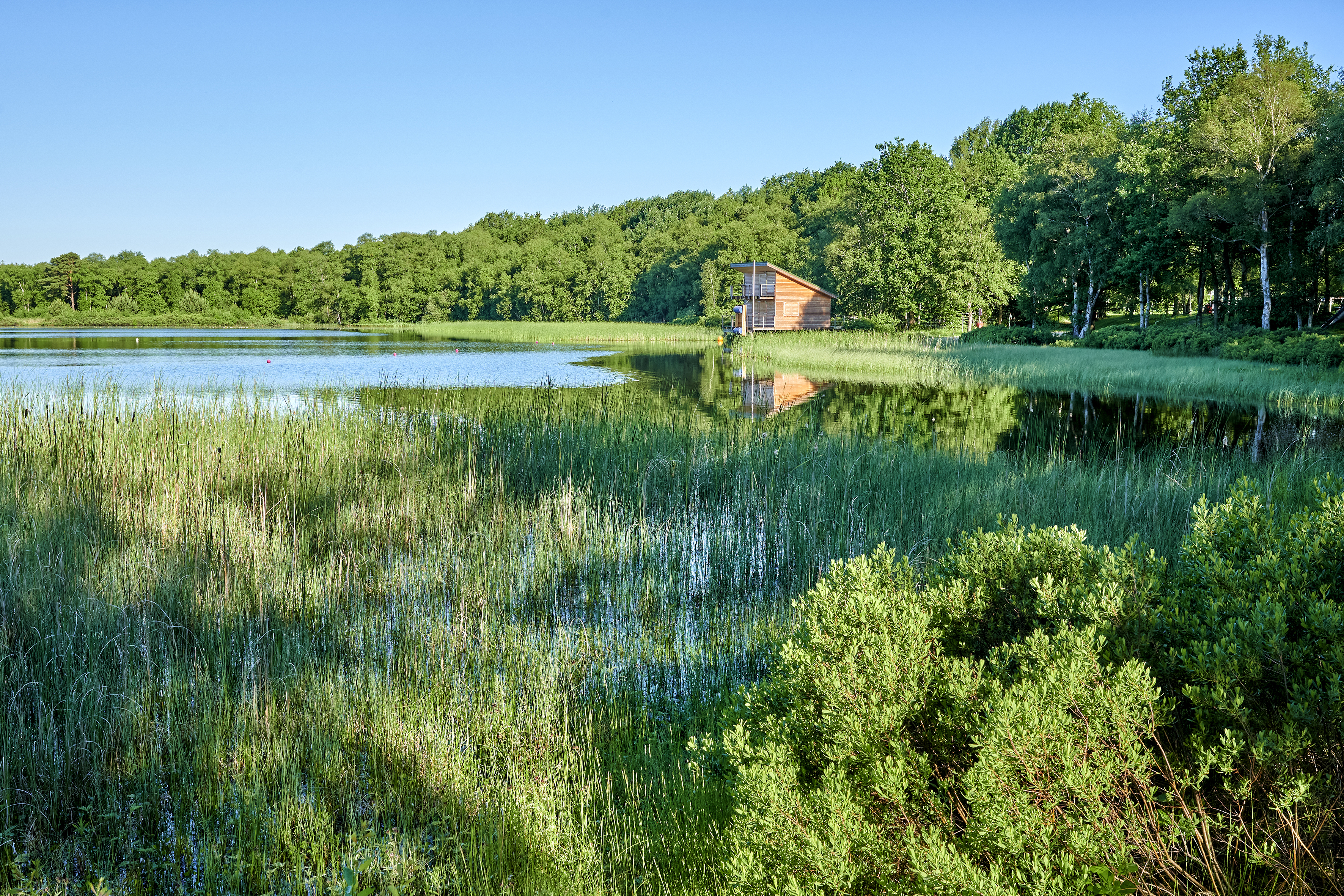 Silbersee Wehdel