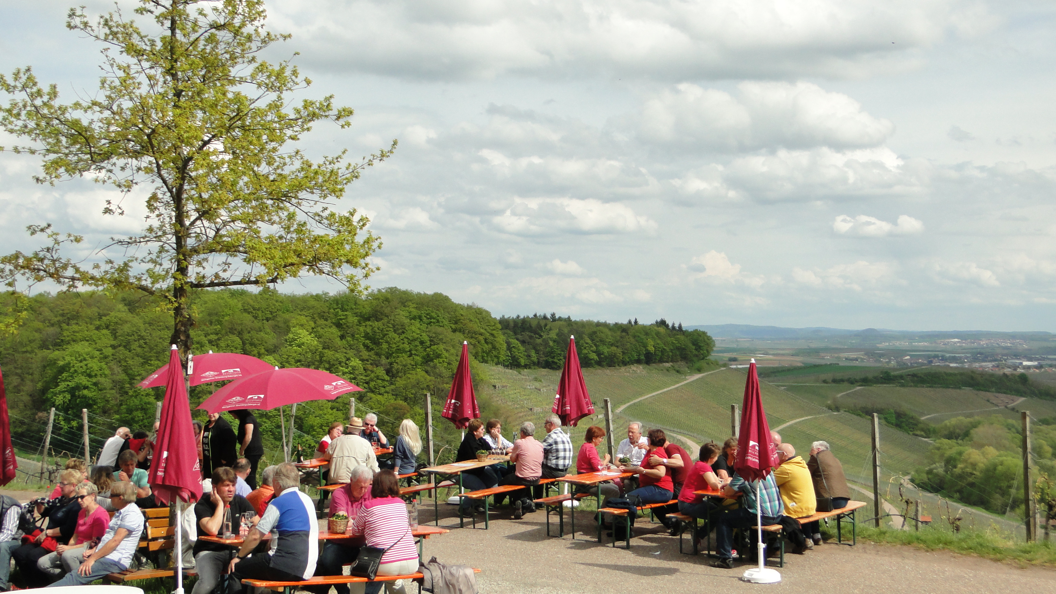 Weinausschank im Zweifelberg | Brackenheim | HeilbronnerLand