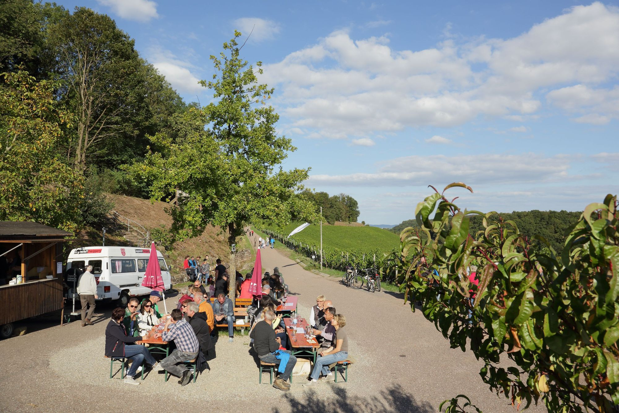 Weinausschank im Zweifelberg - Panoramablick über das Zabergäu | Brackenheim | HeilbronnerLand