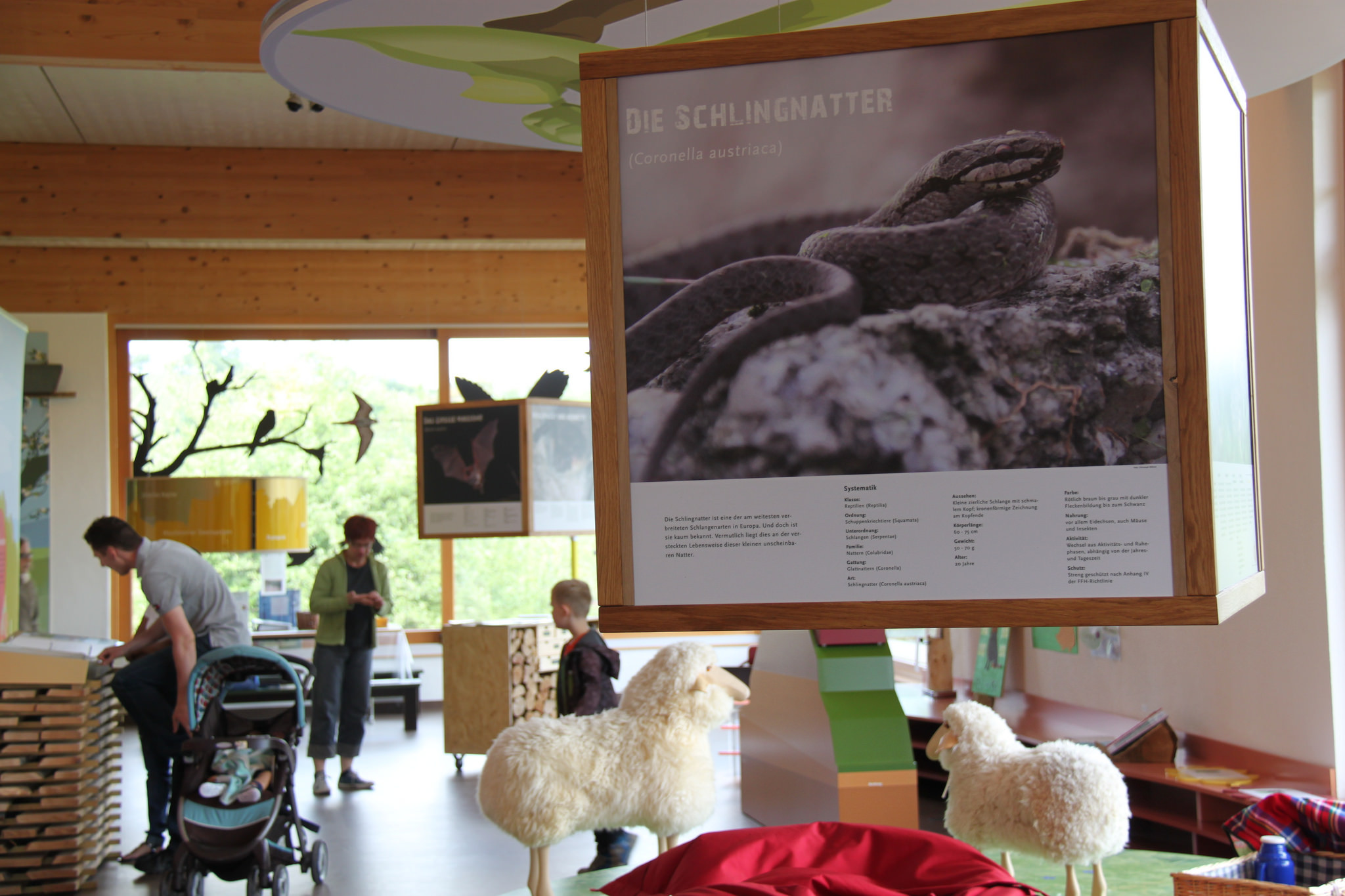Ausstellung im Naturparkzentrum Stromberg-Heuchelberg | HeilbronnerLand