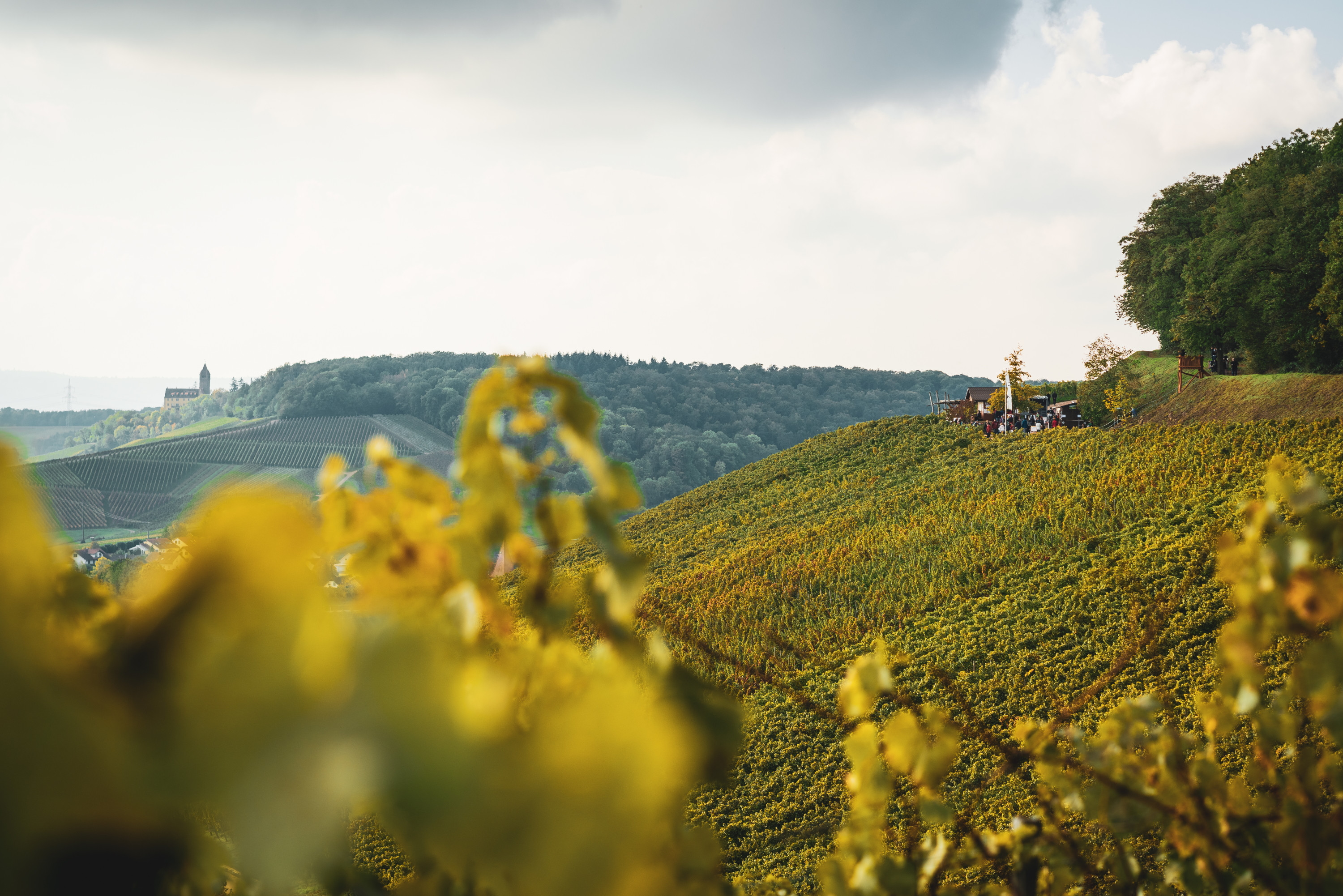 Weinausschank im Zweifelberg | Brackenheim | HeilbronnerLand