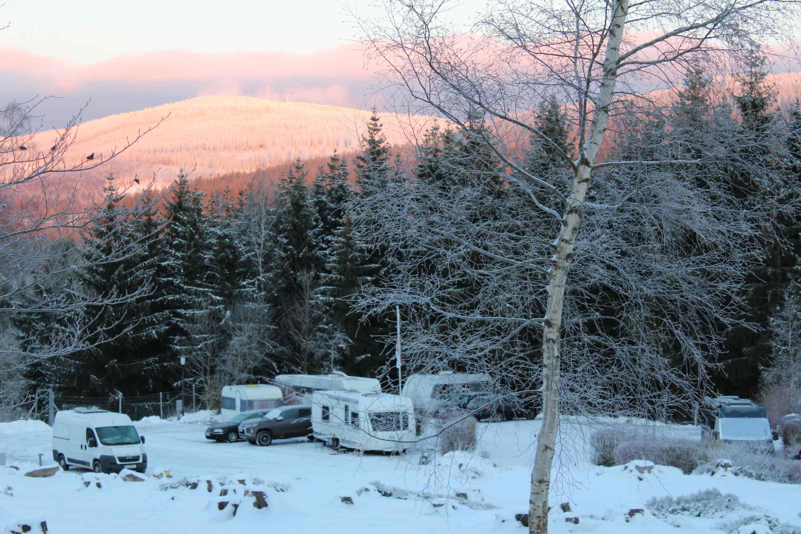 Harz Mountain Camp am Schierker Stern