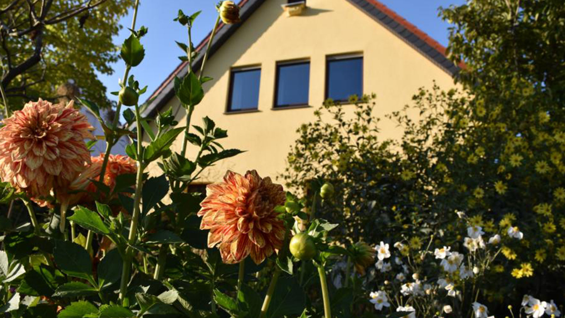 Gastgeber FeWo Schlossblick - Außenansicht