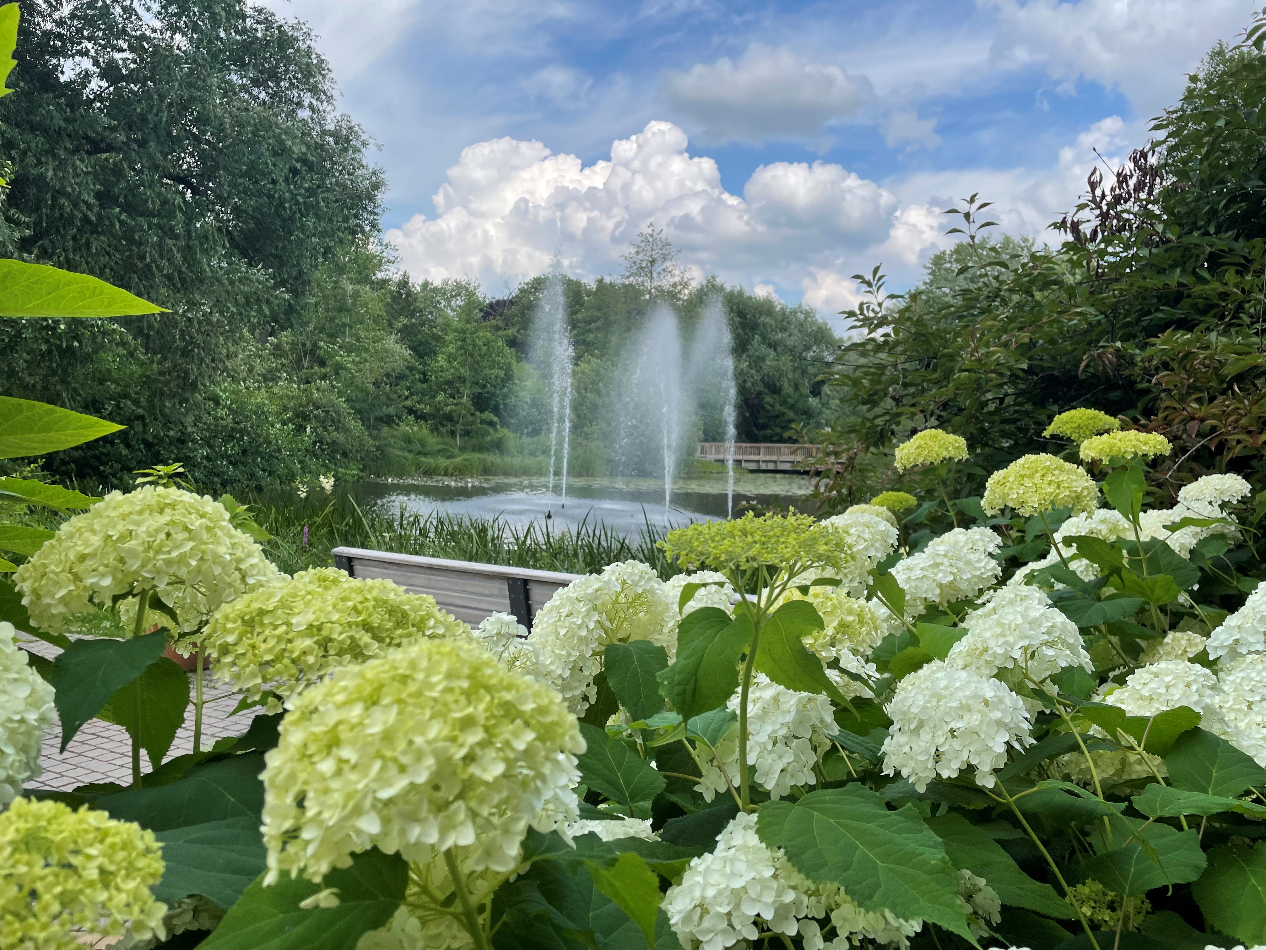 Fontänenteich im Kurpark Bad Bevensen