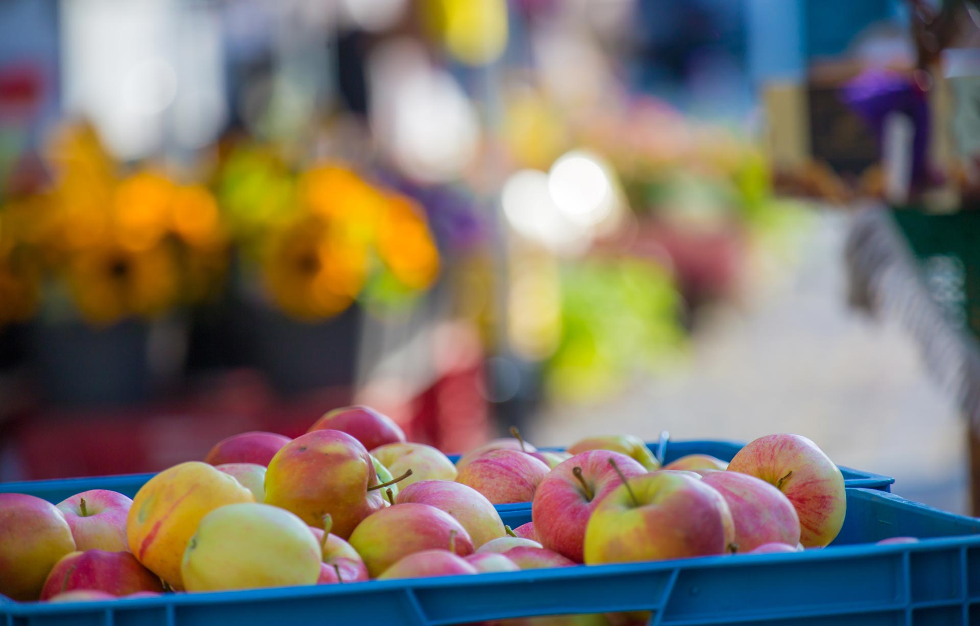 Wochenmarkt Heese