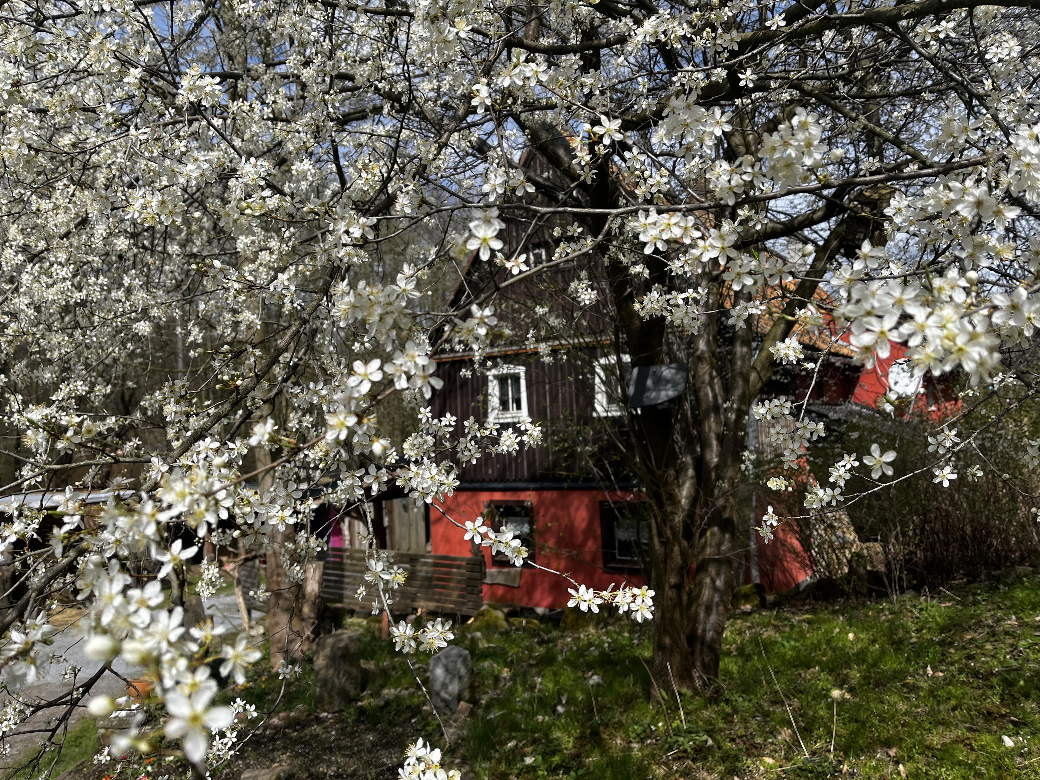 Ferienwohnung "An der schönen Bahra", Bad Gottleuba-Berggießhübel