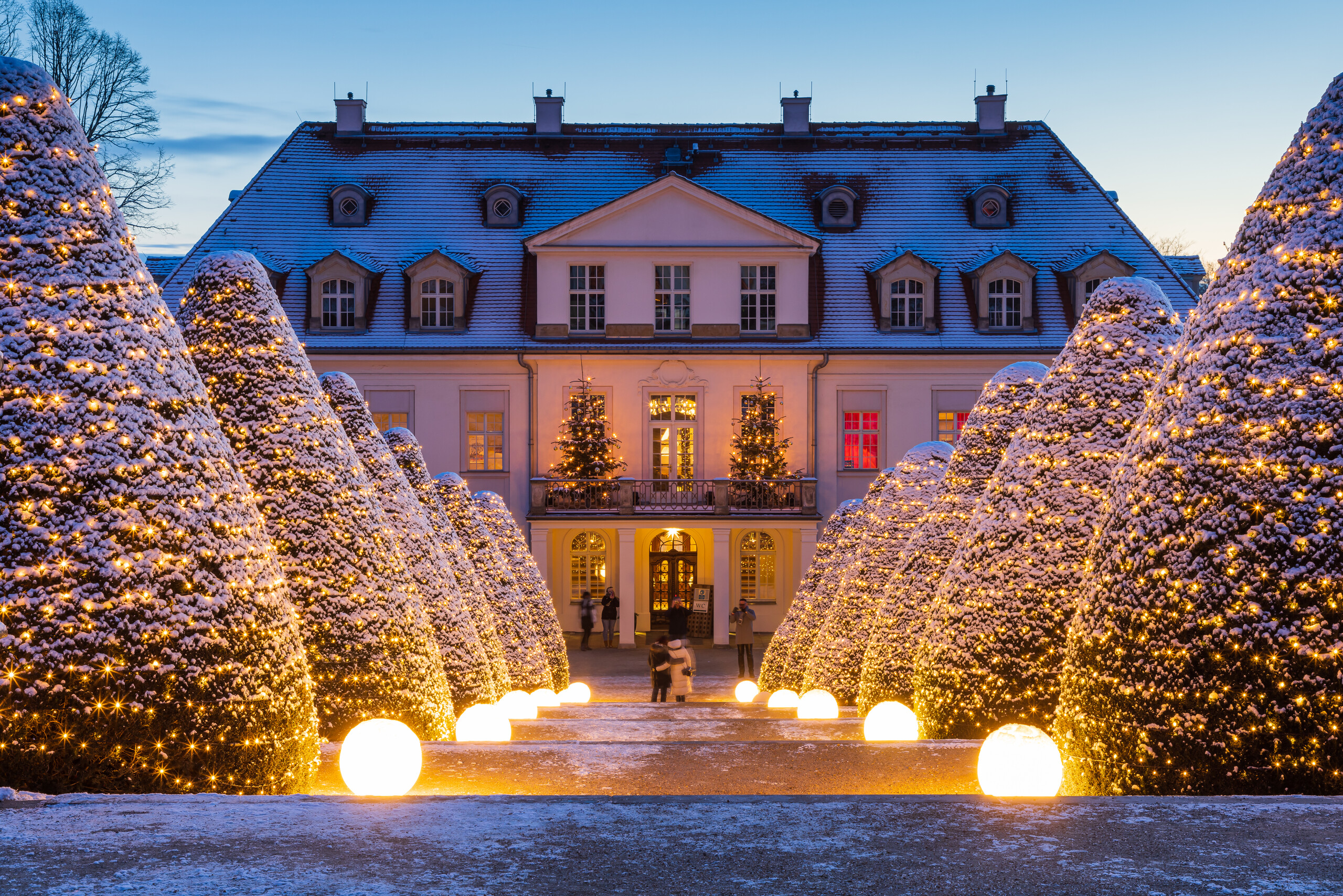 Wein & Licht auf Schloss Wackerbarth – Motiv