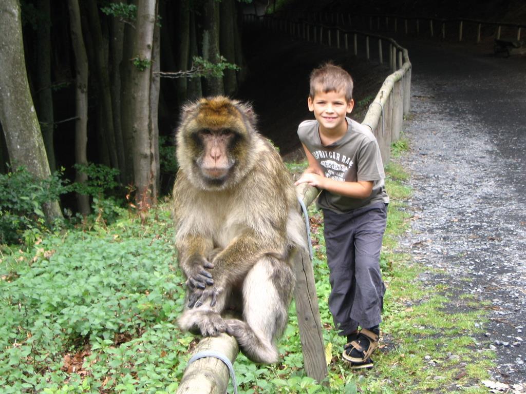 Wildpark Daun