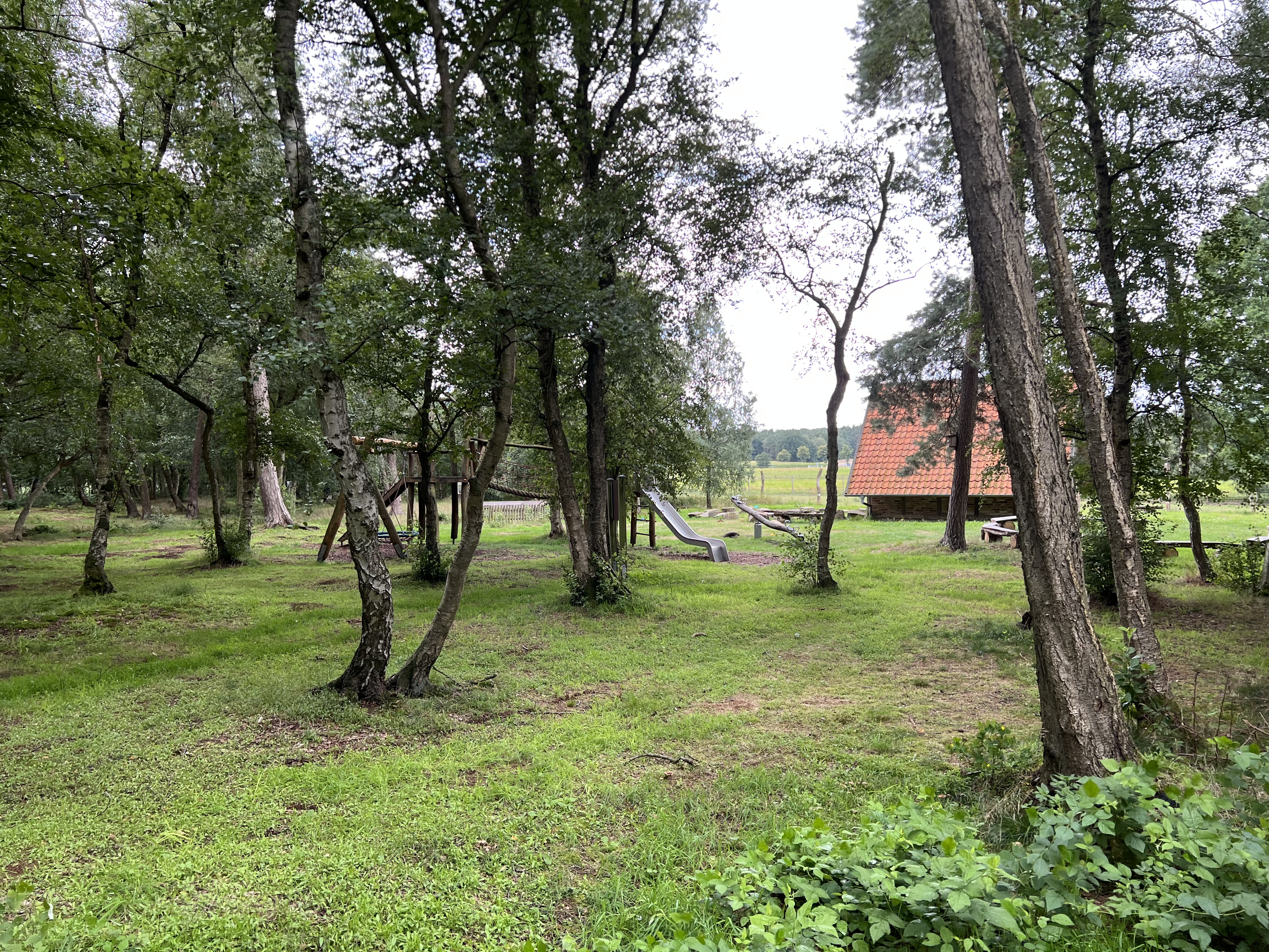 Moorkieker Kükenmoor