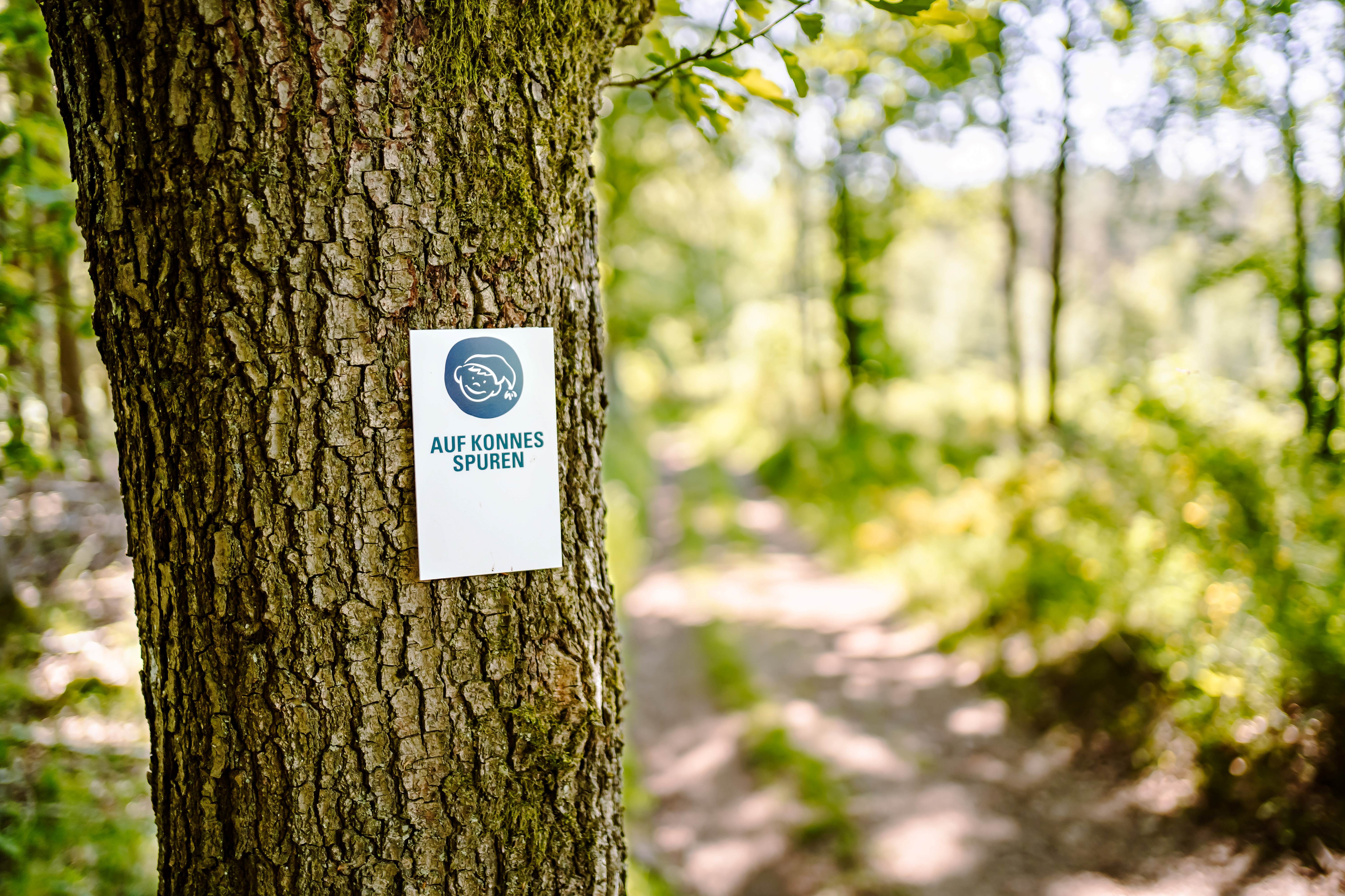 230531 MER Premiumwanderweg Beschilderung56 kleiner