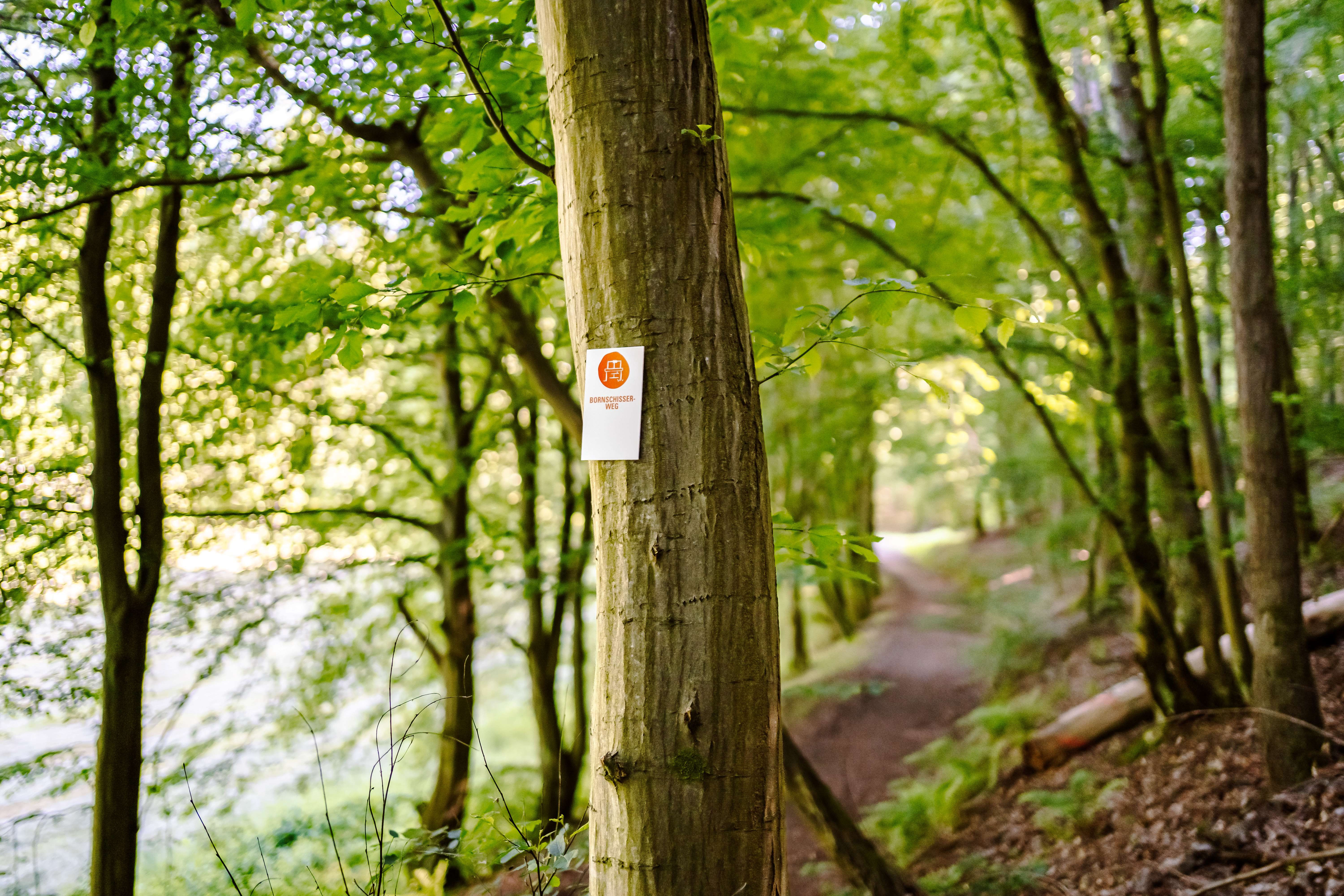 230531 MER Premiumwanderweg Beschilderung5 kleiner