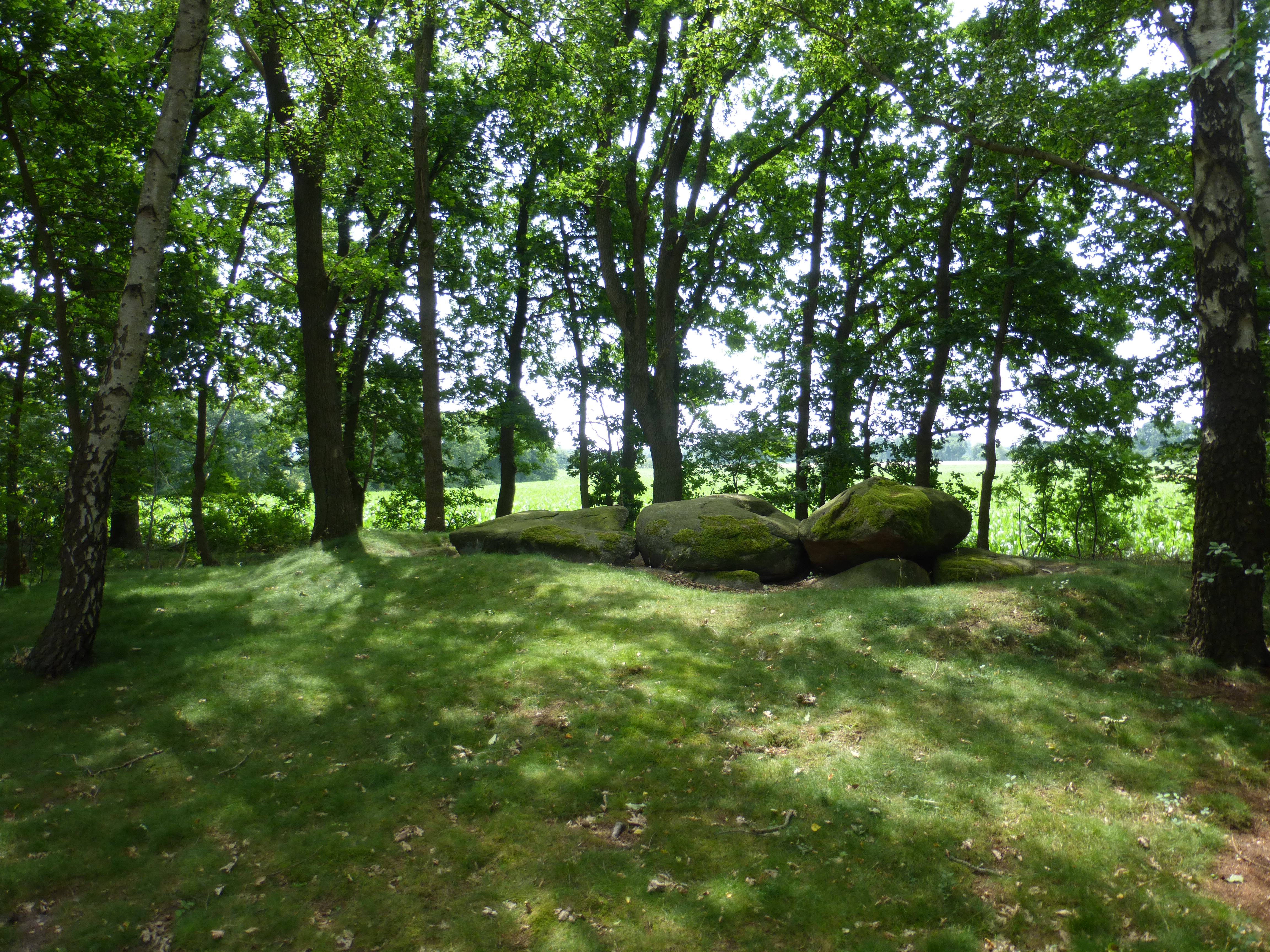 Großsteingrab Hüven-Süd