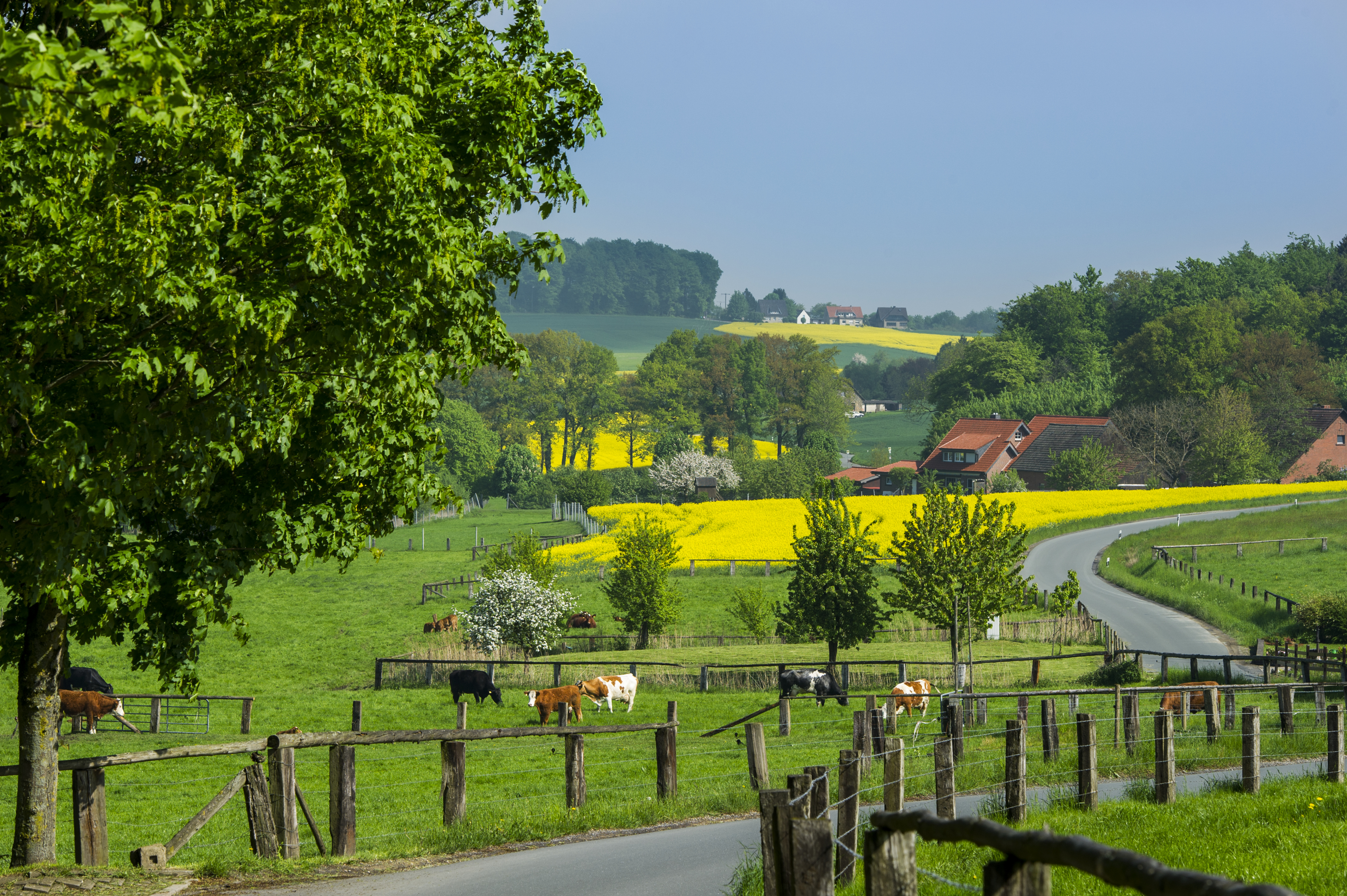 Hagen am Teutoburger Wald
