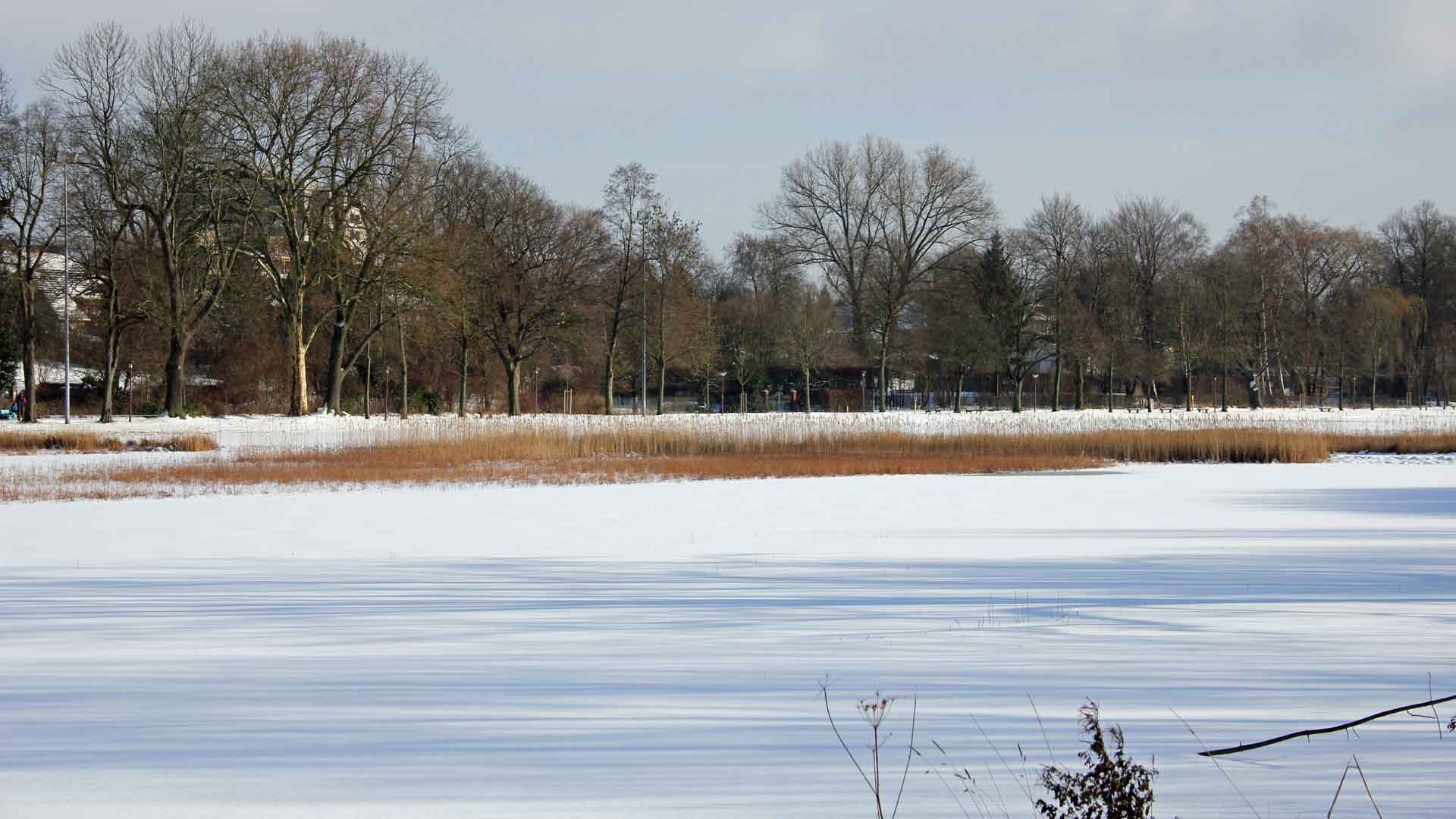 Bild vergrößern: Die Dammaschwiese im Winter
