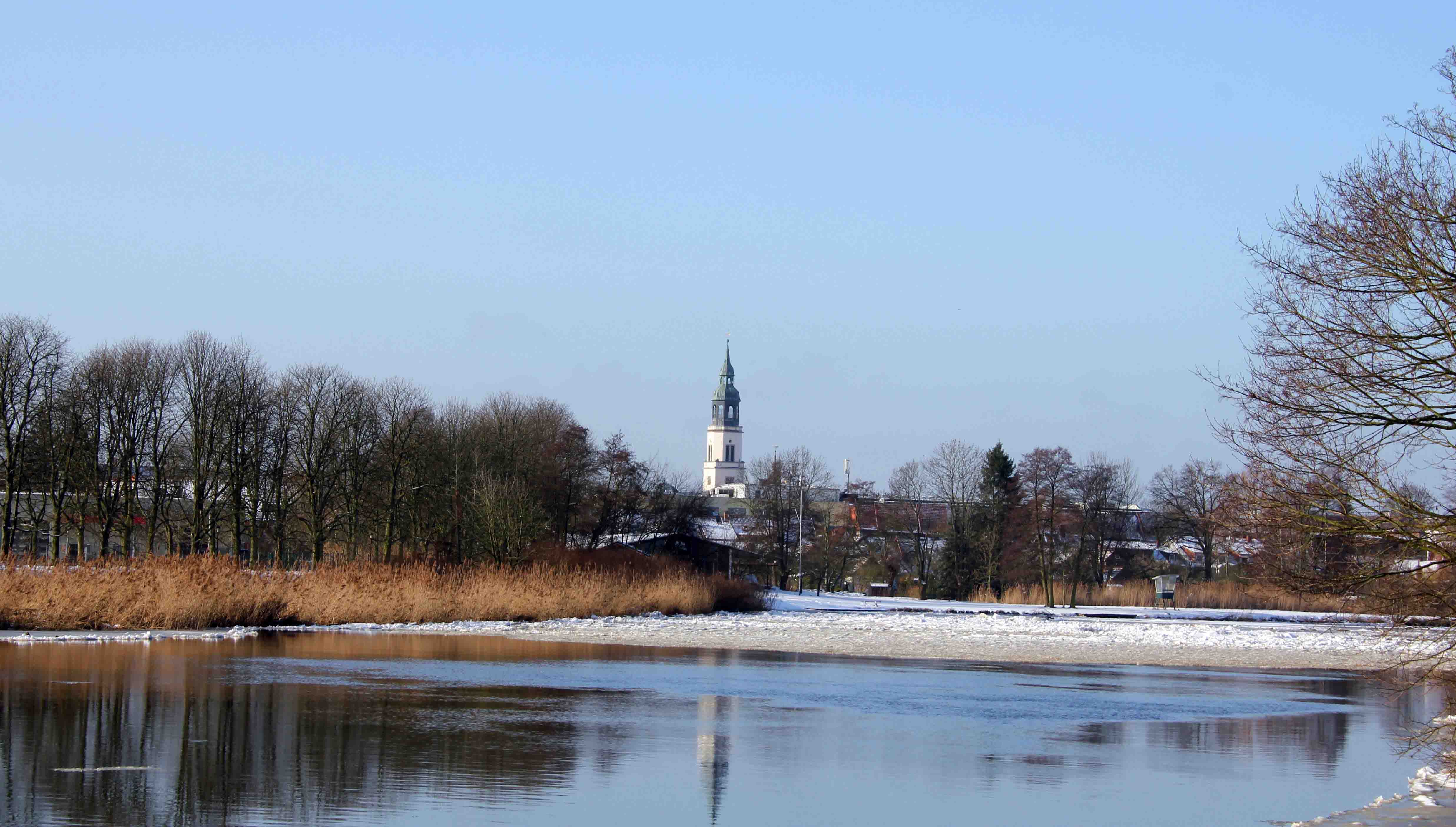 Die Dammaschwiese im Winter