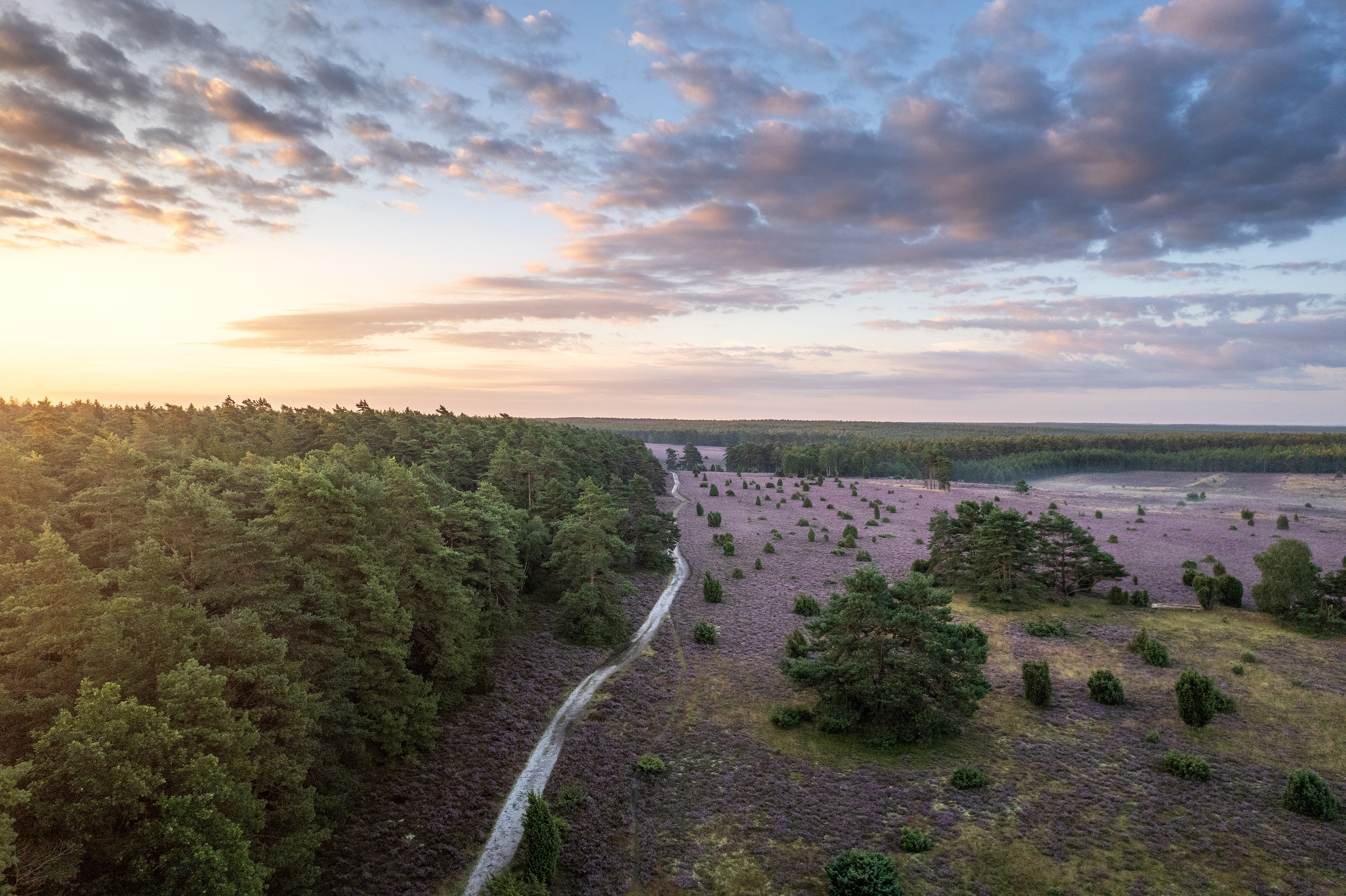Naturpark Südheide