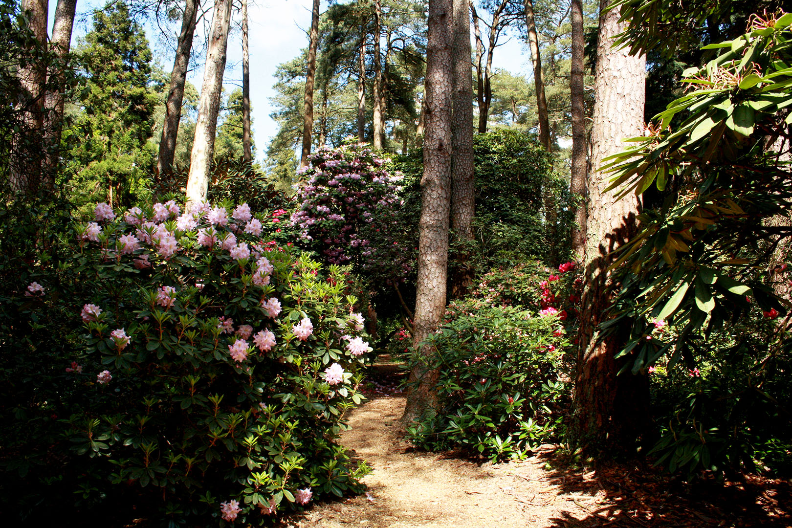 Rhododendronpark Hobbie