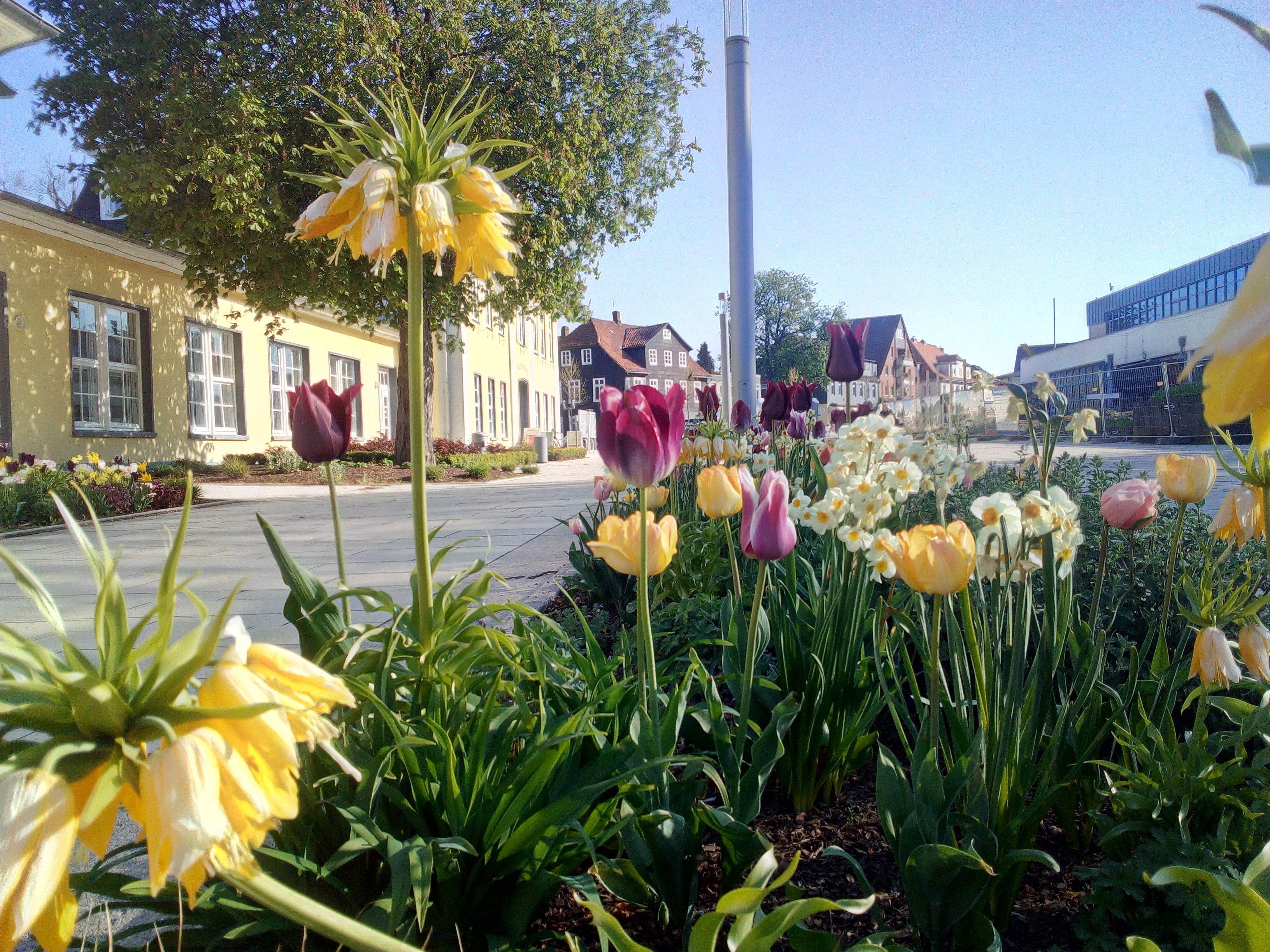 Kurpromenade Bad Nenndorf