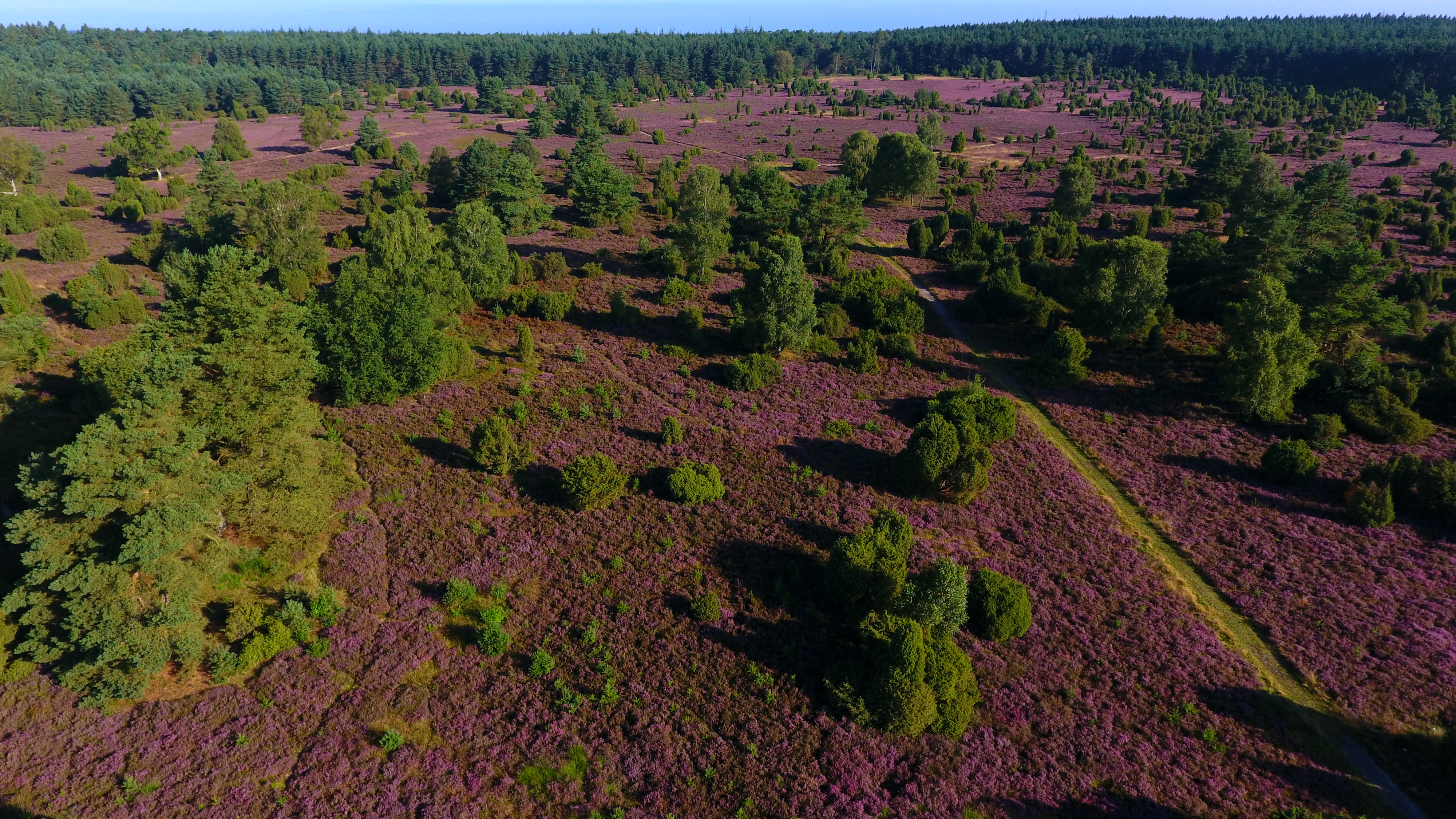 Rehrhofer Heide