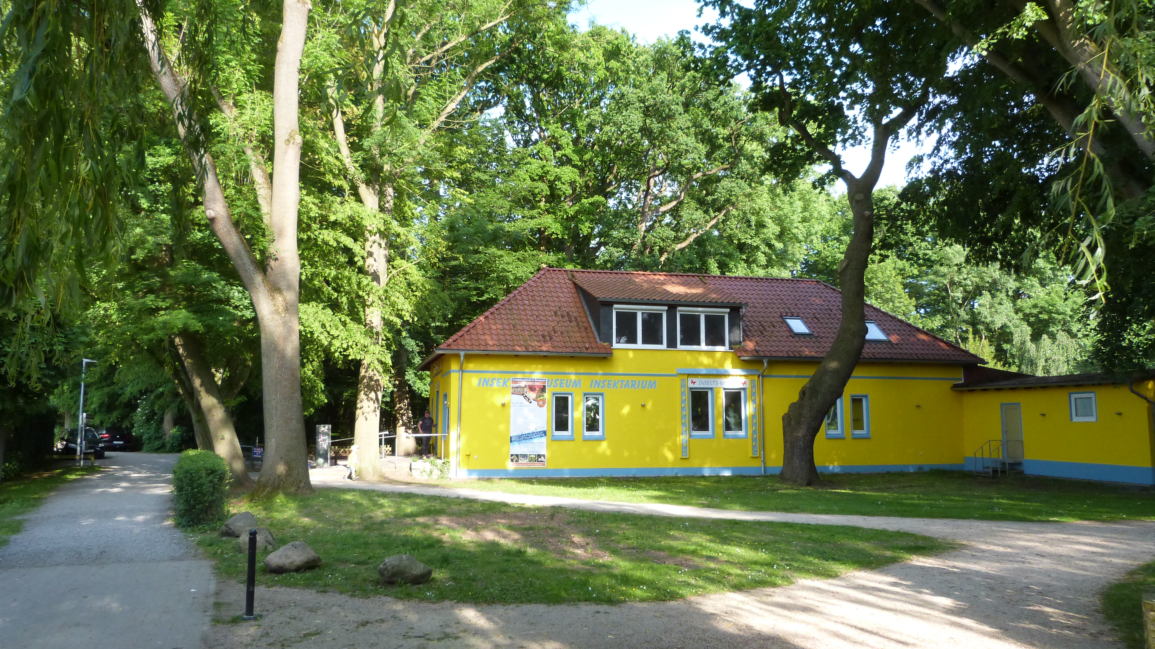 Schmetterlingsfarm mit Insektenmuseum Steinhude