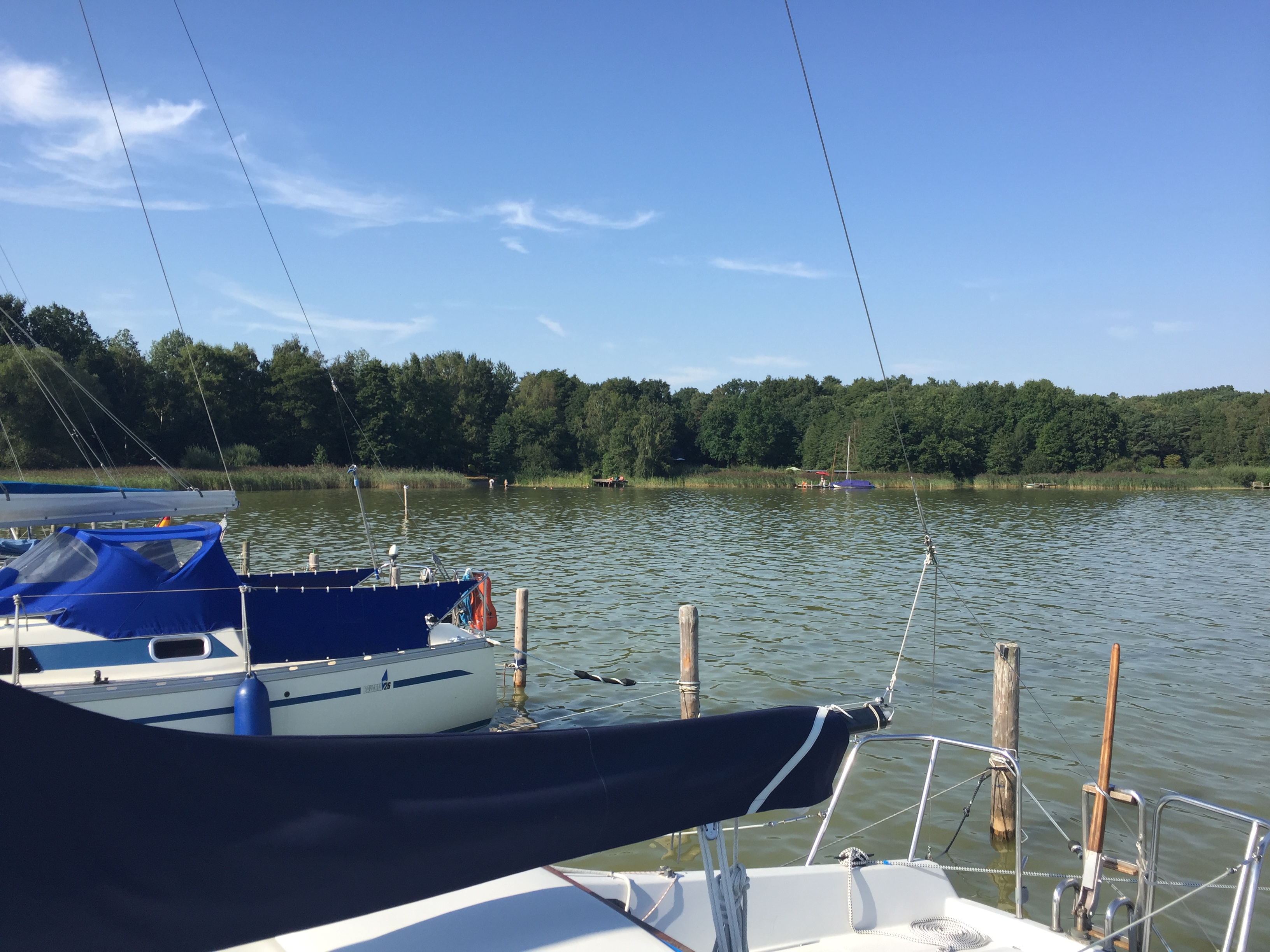 Steggemeinschaft Steg N17 + N18 - GbR mit Blick auf die Uferzone