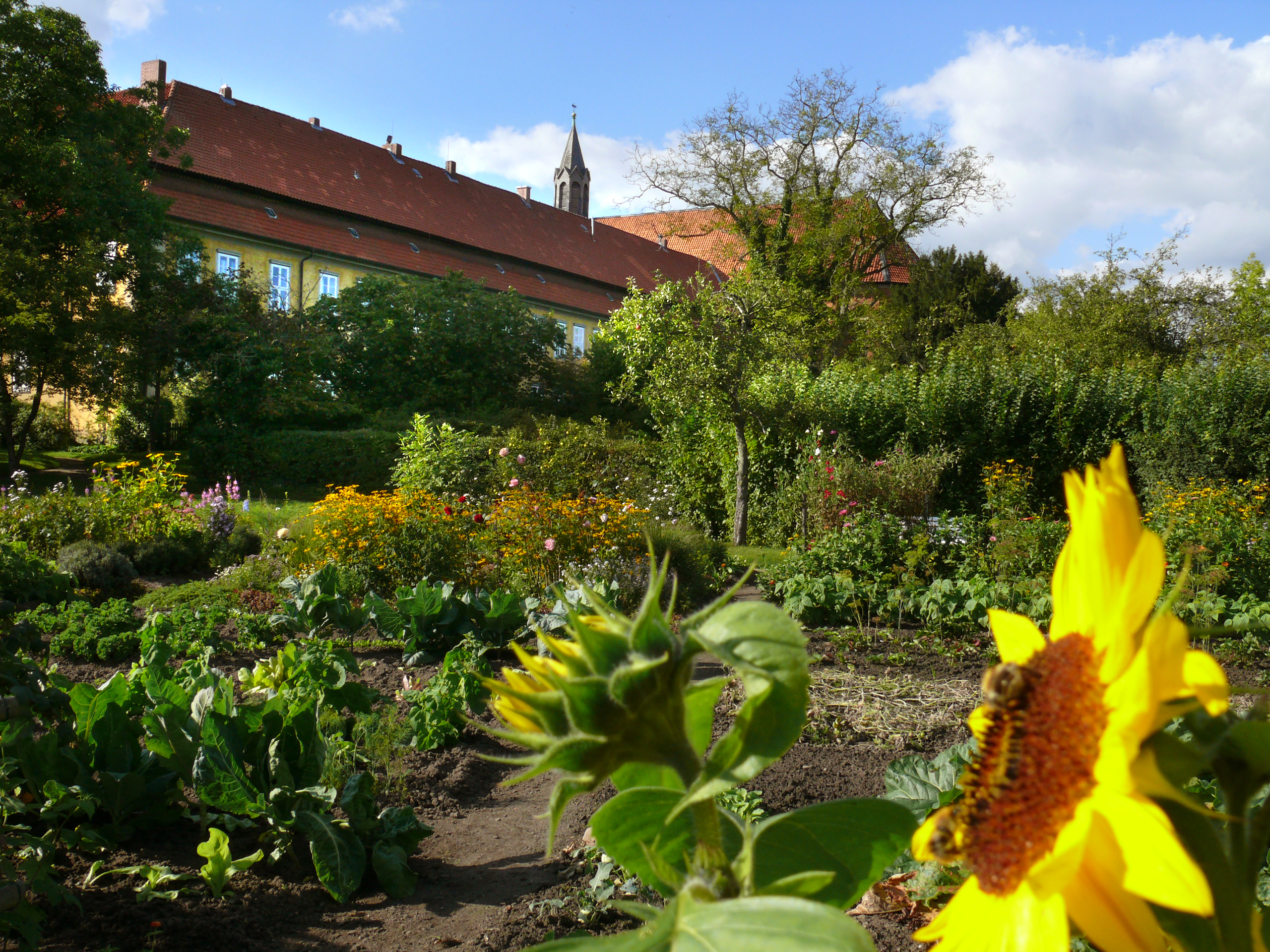 Kloster Mariensee