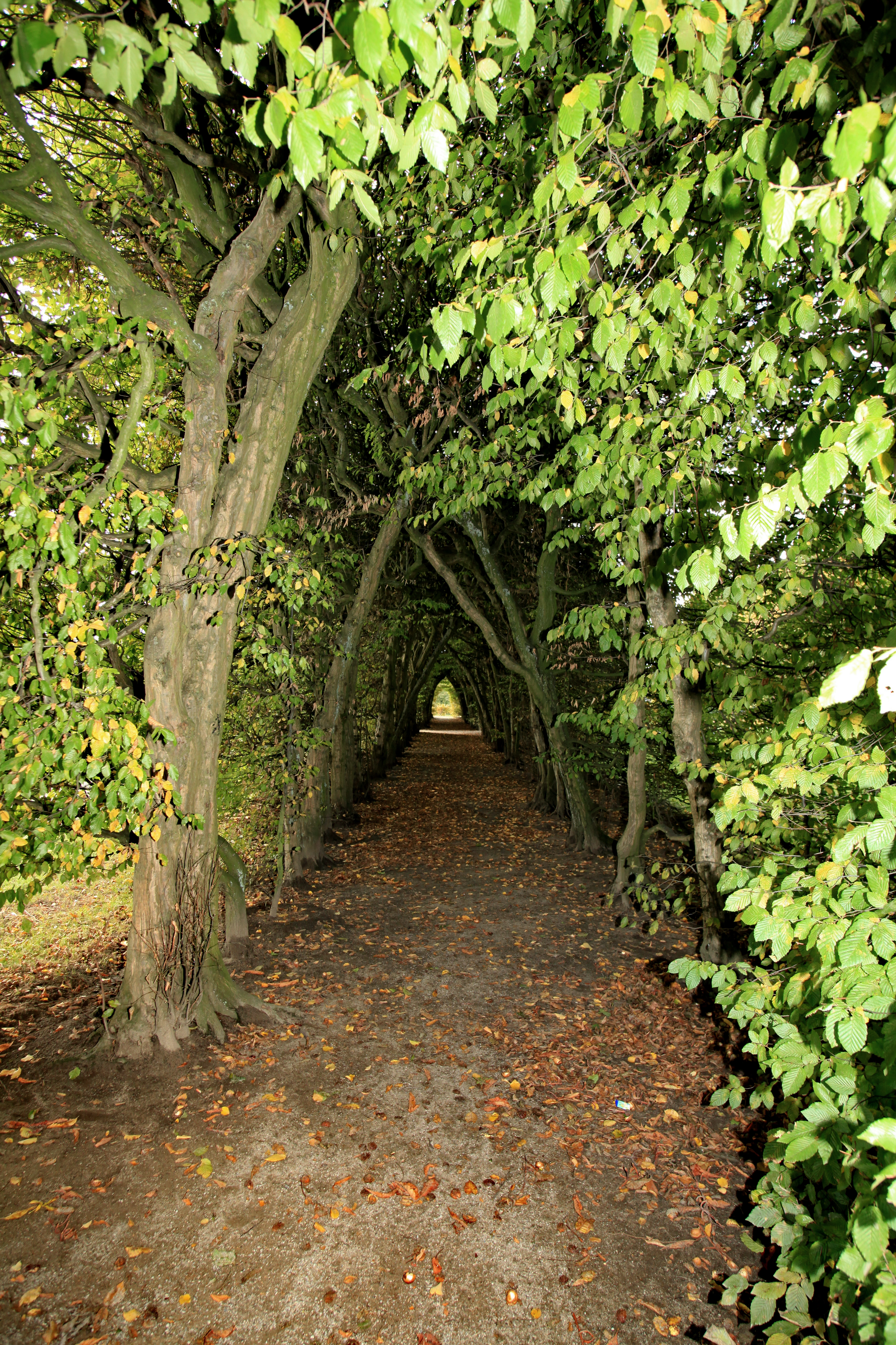 Amtsgarten
