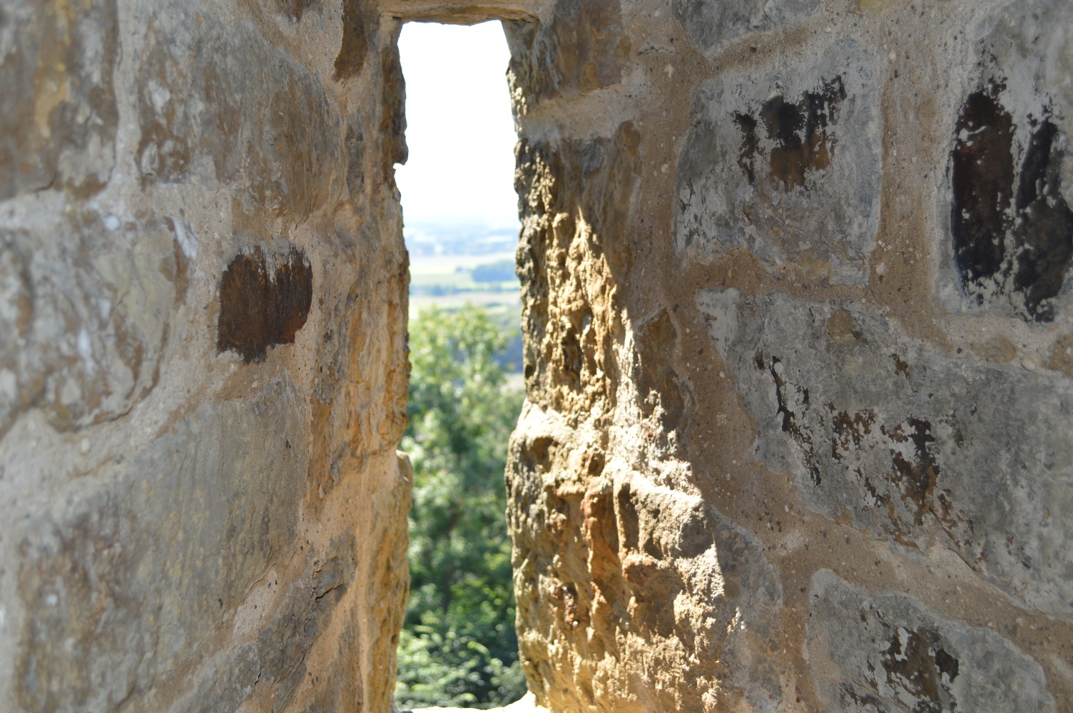 Burg Ravensberg - Blick aus dem Turm