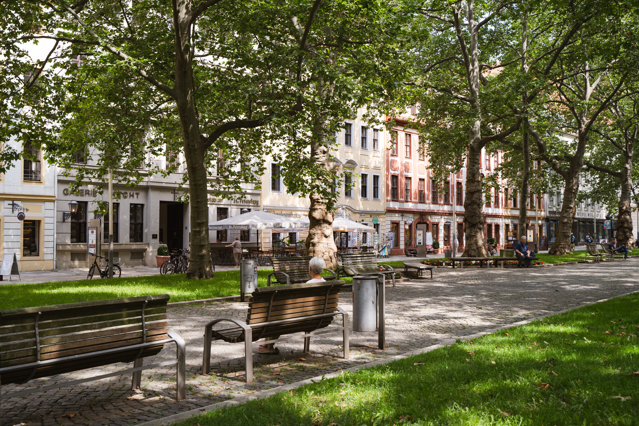 Hauptstraße – Dresdens Genießerboulevard