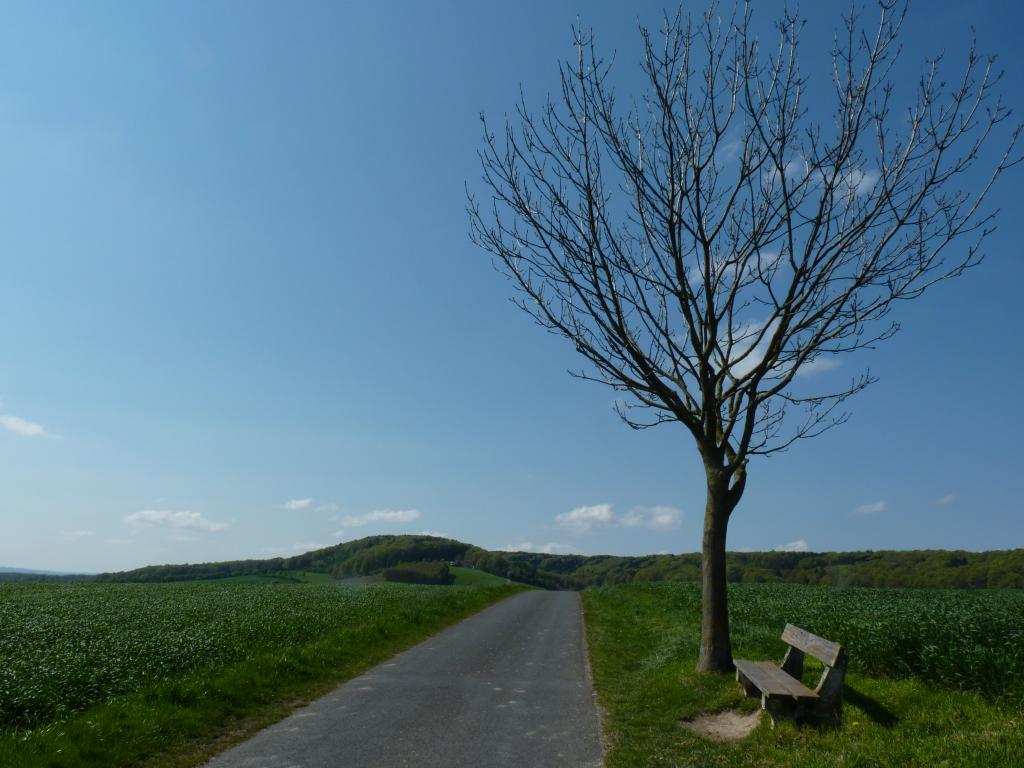 Panoramaweg über den Wehdemer Klei