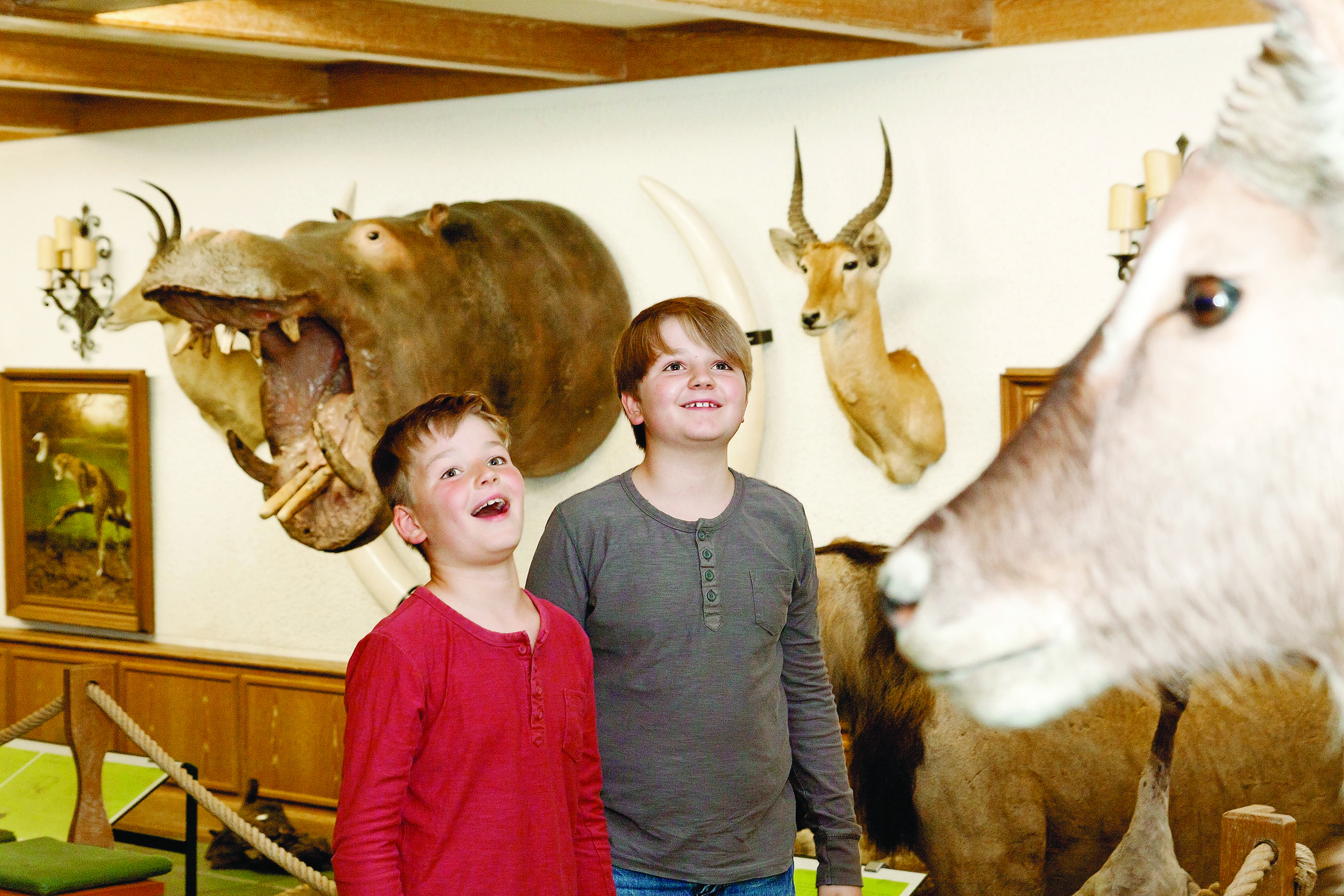 Afrikahalle im Jagdmuseum Wulff in Oerrel in der Südheide Gifhorn