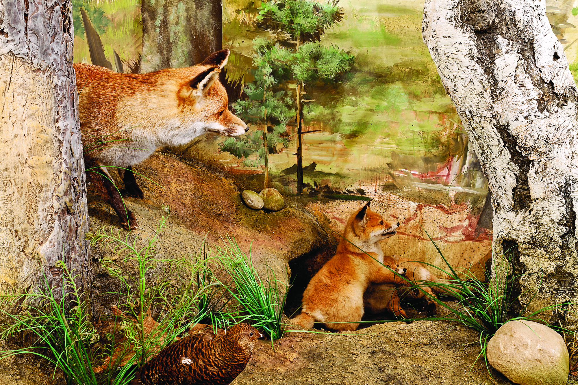 Diorama von Familie Fuchs im Jagdmuseum Wulff in Oerrel