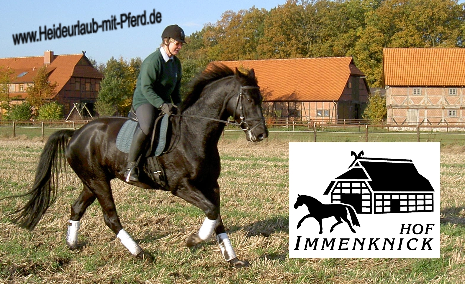 Hof Immenknick