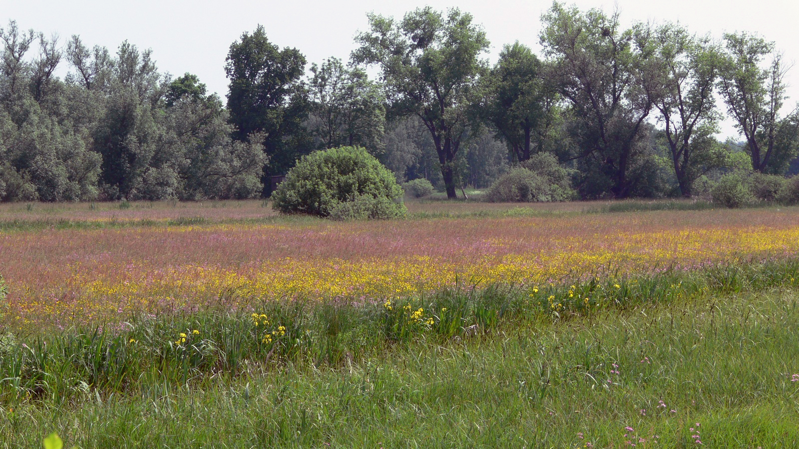 Natur- und Kulturpfad Brechtorf