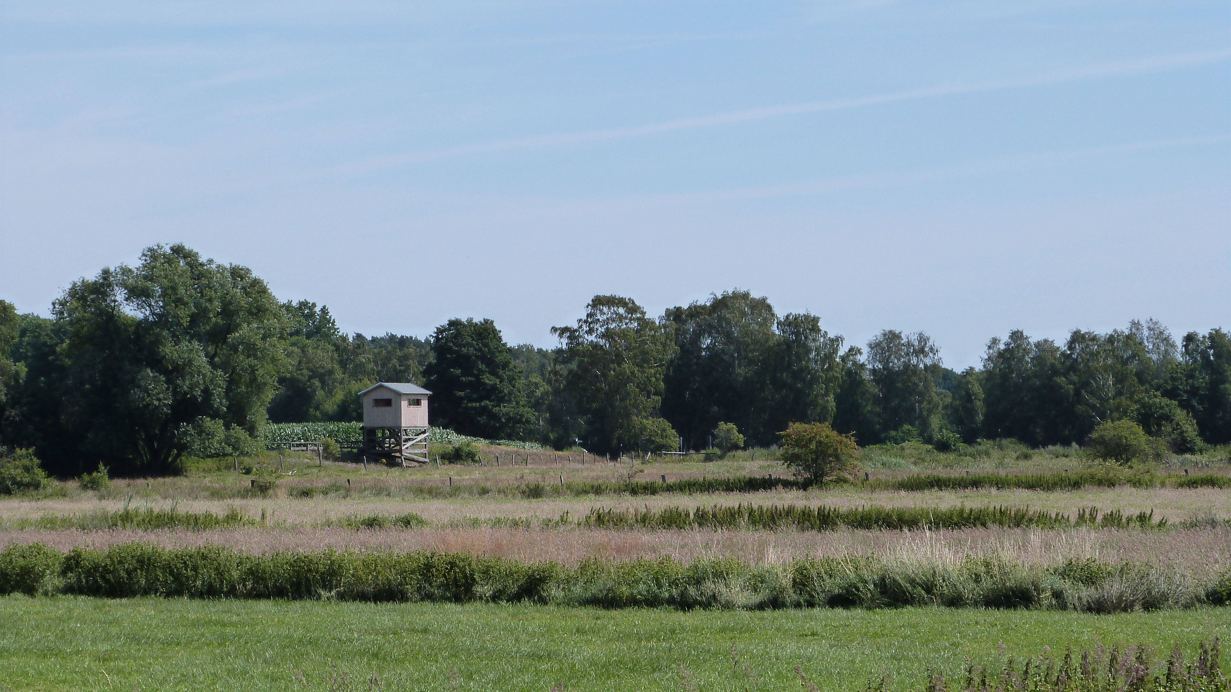 Aussichtsturm Mardorfer Turm