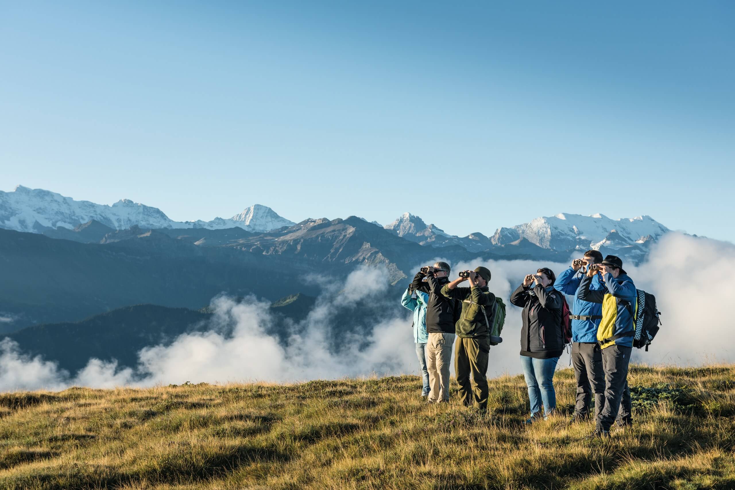 niederhorn-wildbeobachtungen-herbst-gruppe-panorama