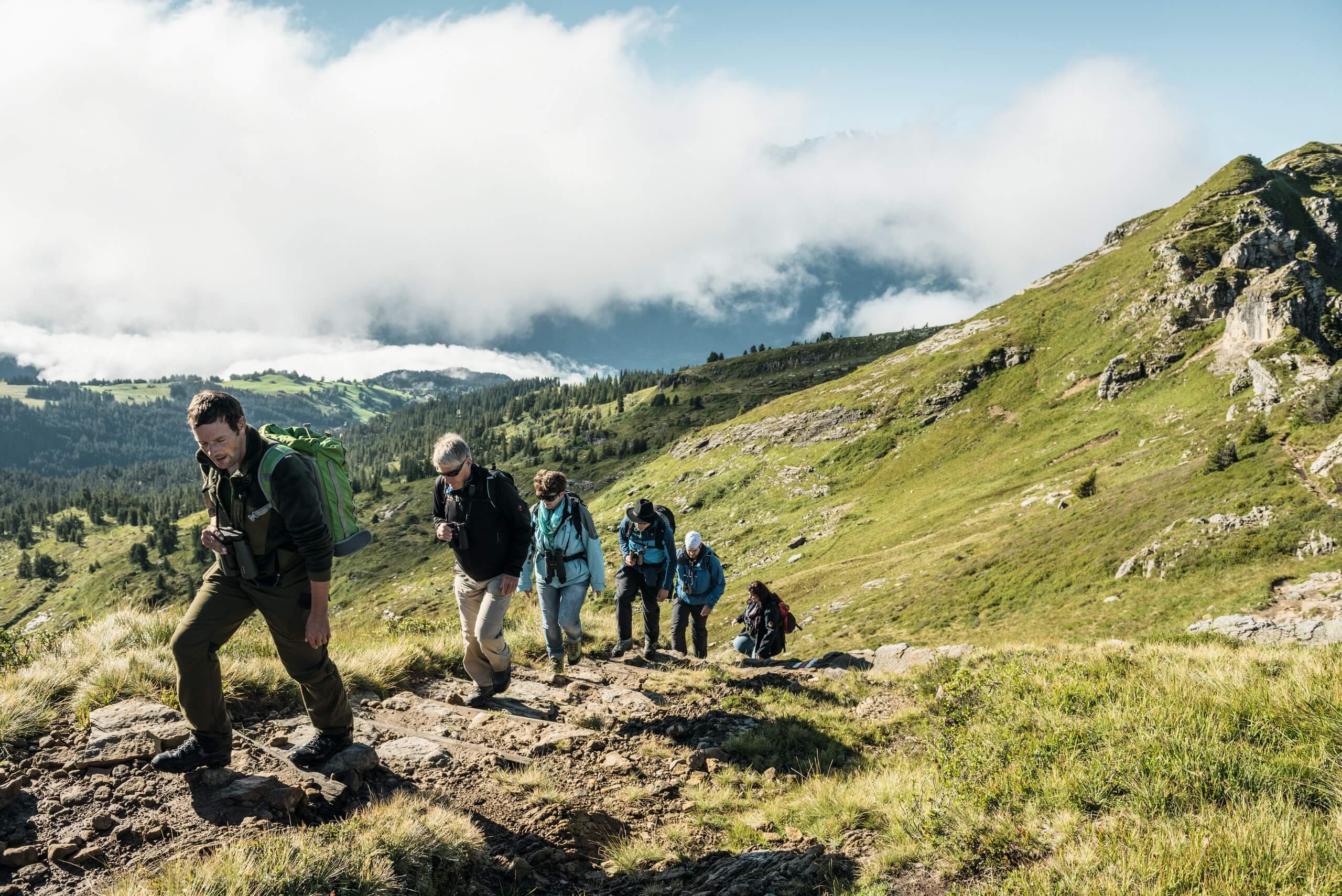 niederhorn-wildbeobachtungen-herbst-gruppe-wandern