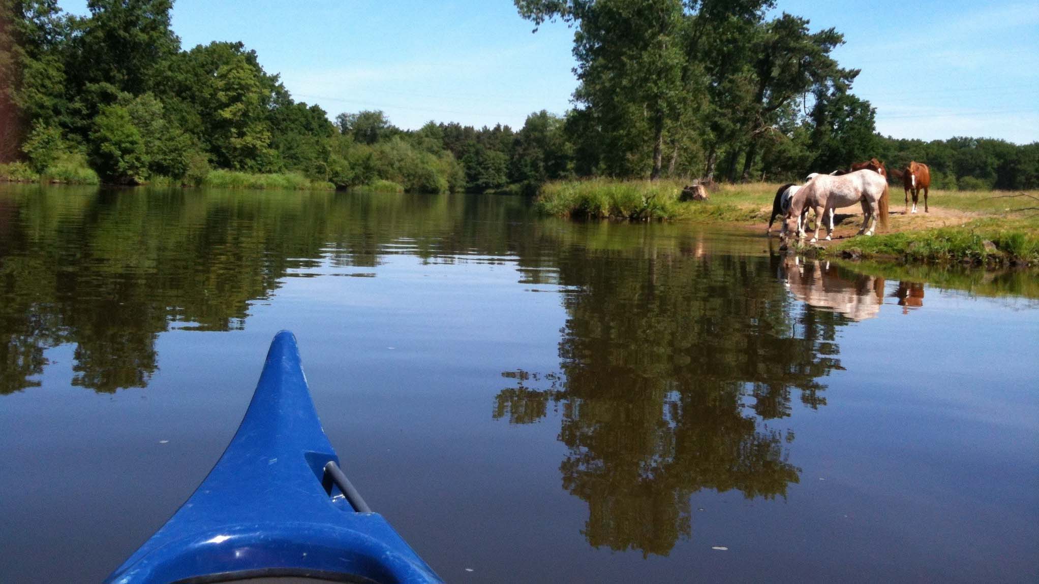 Canoeing on the Aller with Meyer's KANATOUR
