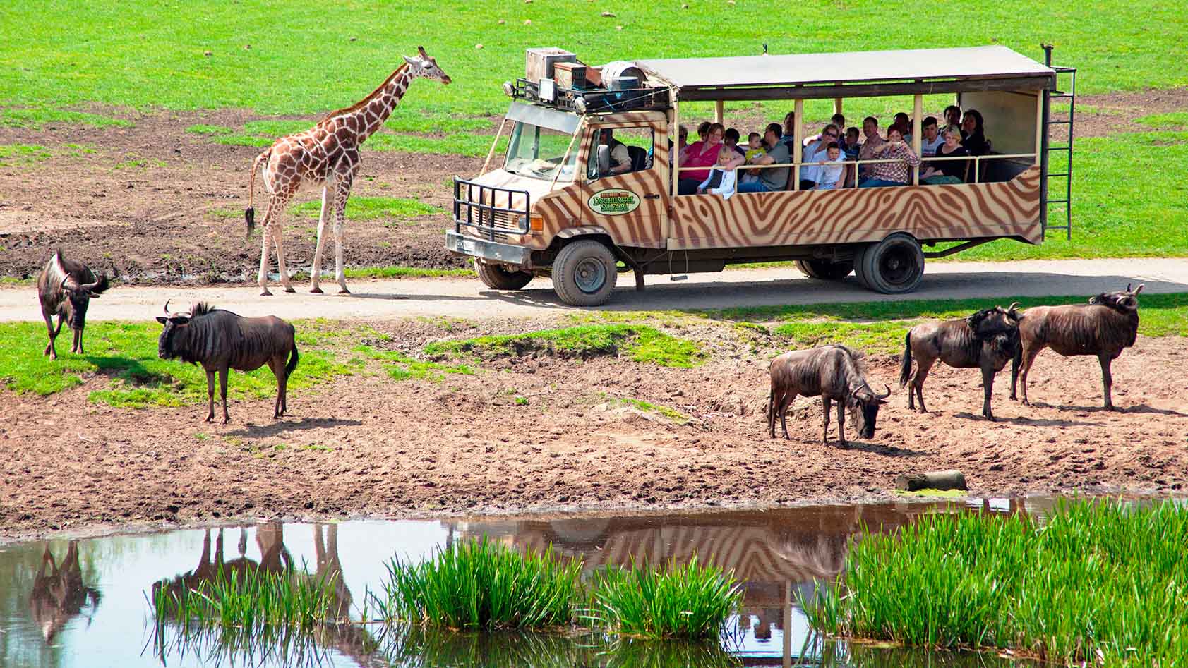Serengeti Park Bus Tour