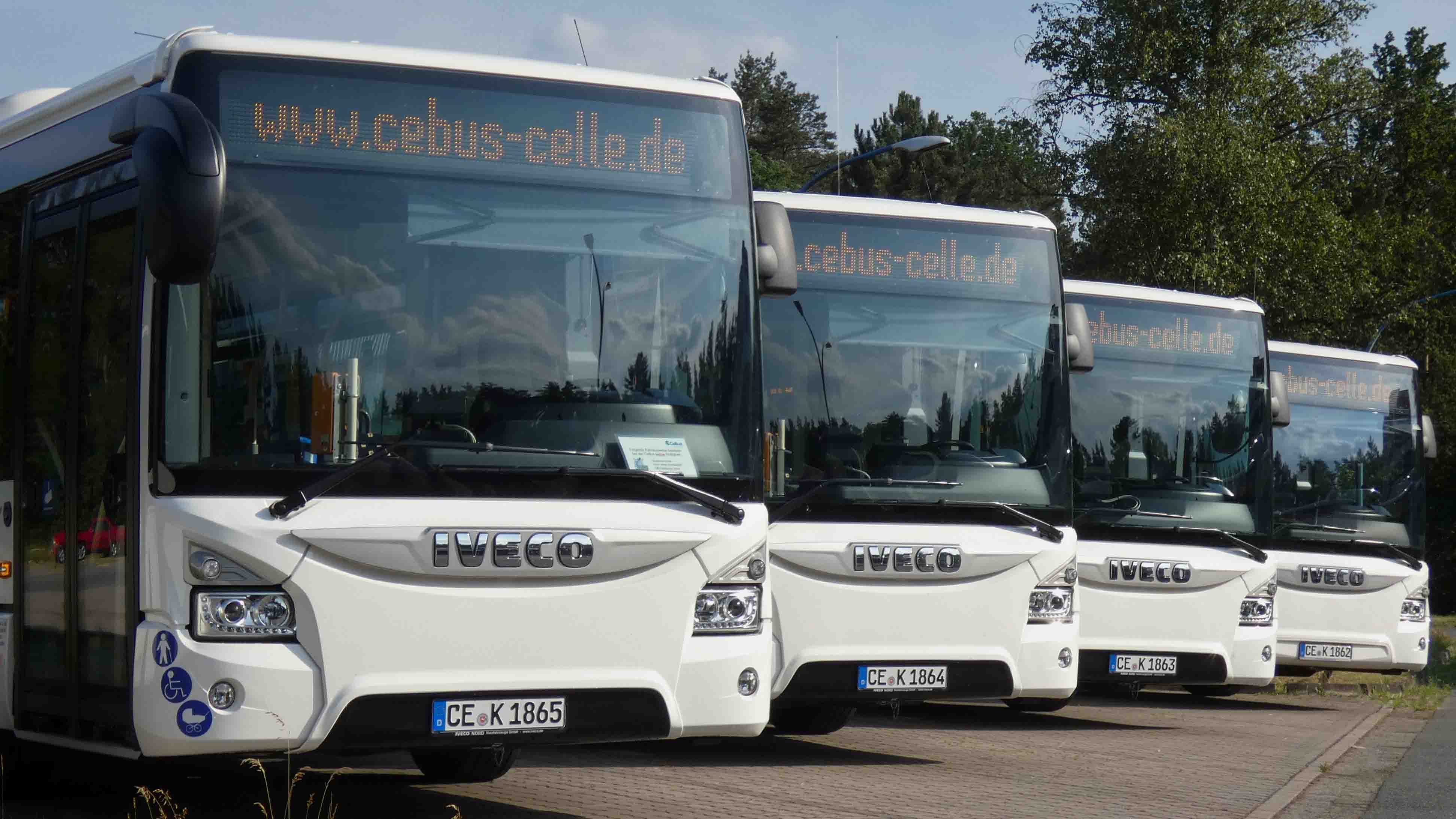 celle-cebus-busfahren-2