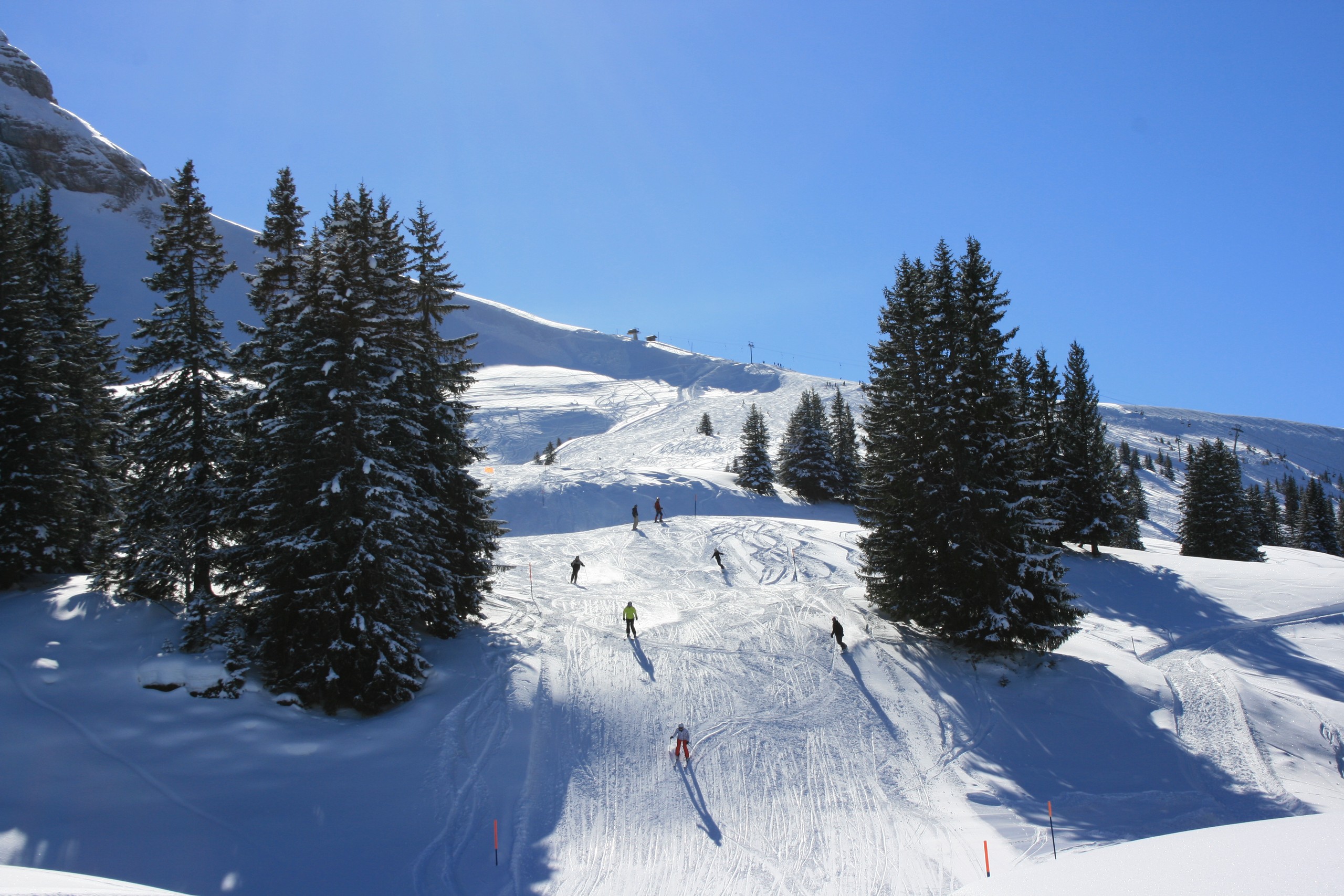 brienz-axalp-winter-skigebiet-piste-familienaktivitaeten