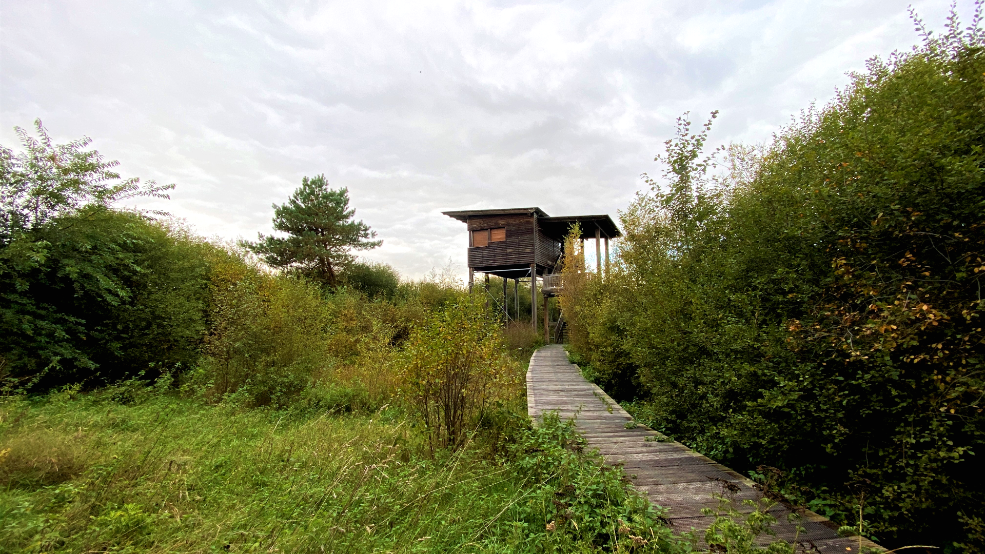 Beobachtungsturm im Naturschutzgebiet Steinbecker Moor