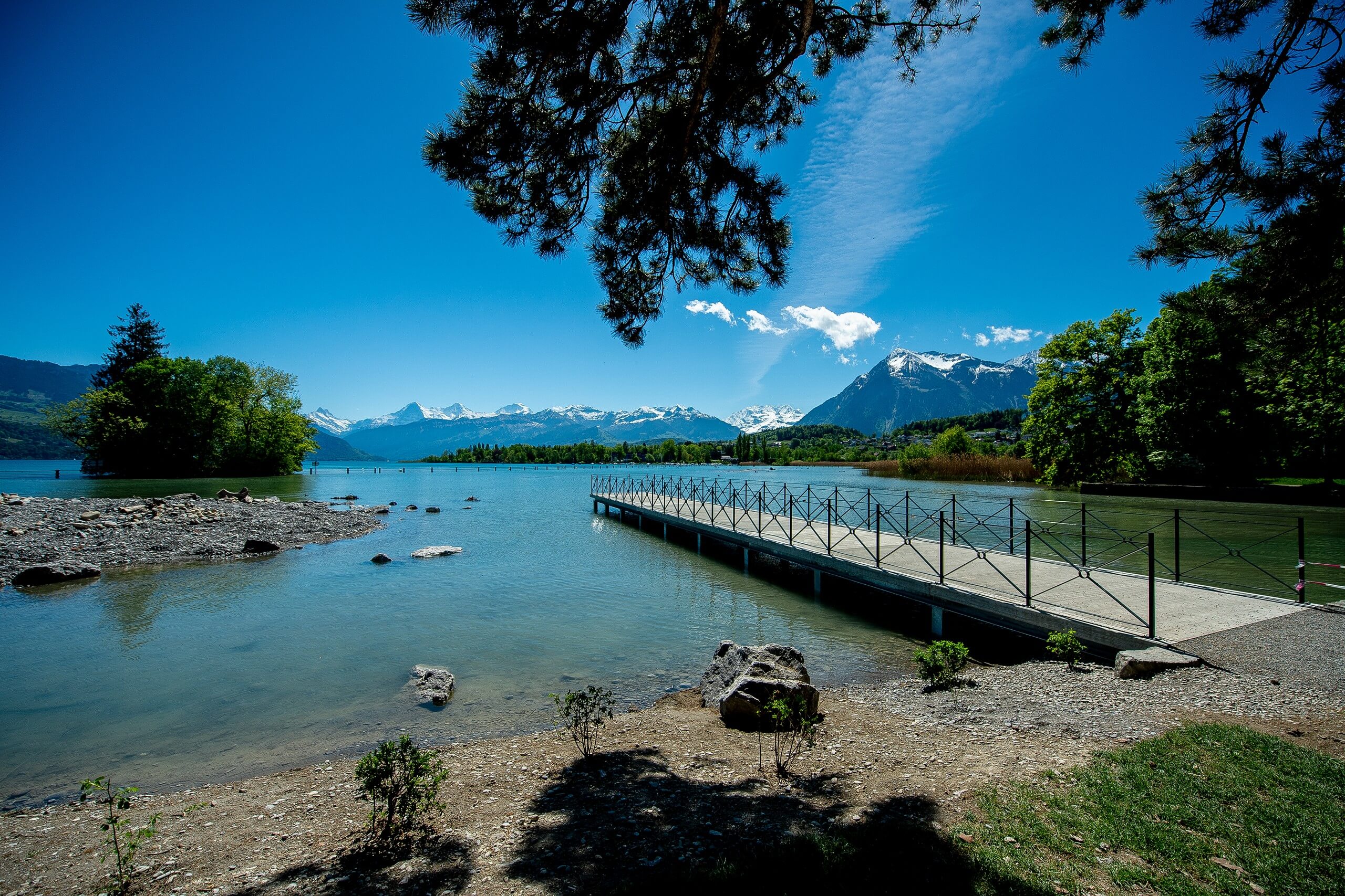 thun-sommer-bonstettenpark-steg