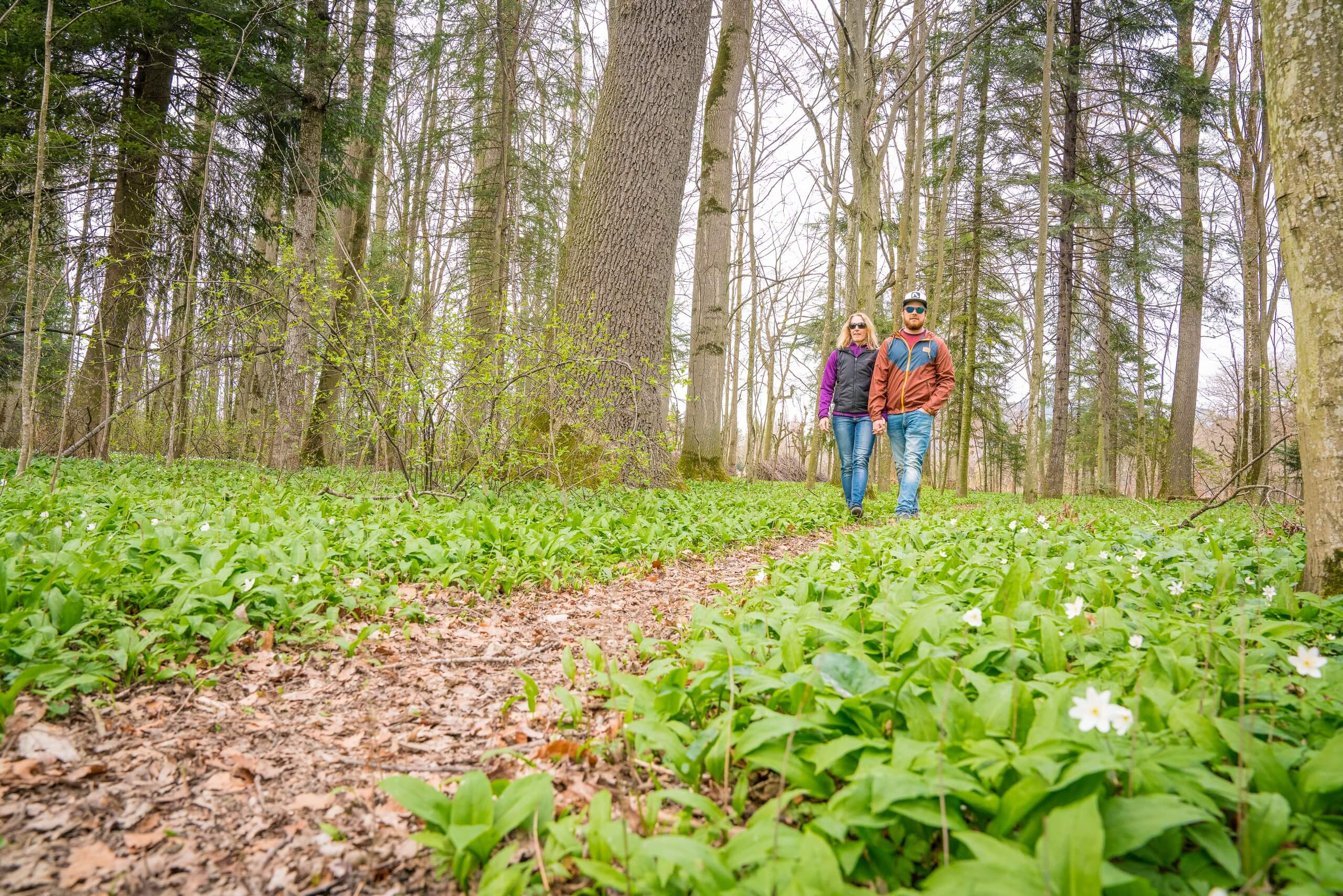 thun-bonstettenpark-paar-wald-fruehling-regenwettertipps-spazier-uferwege