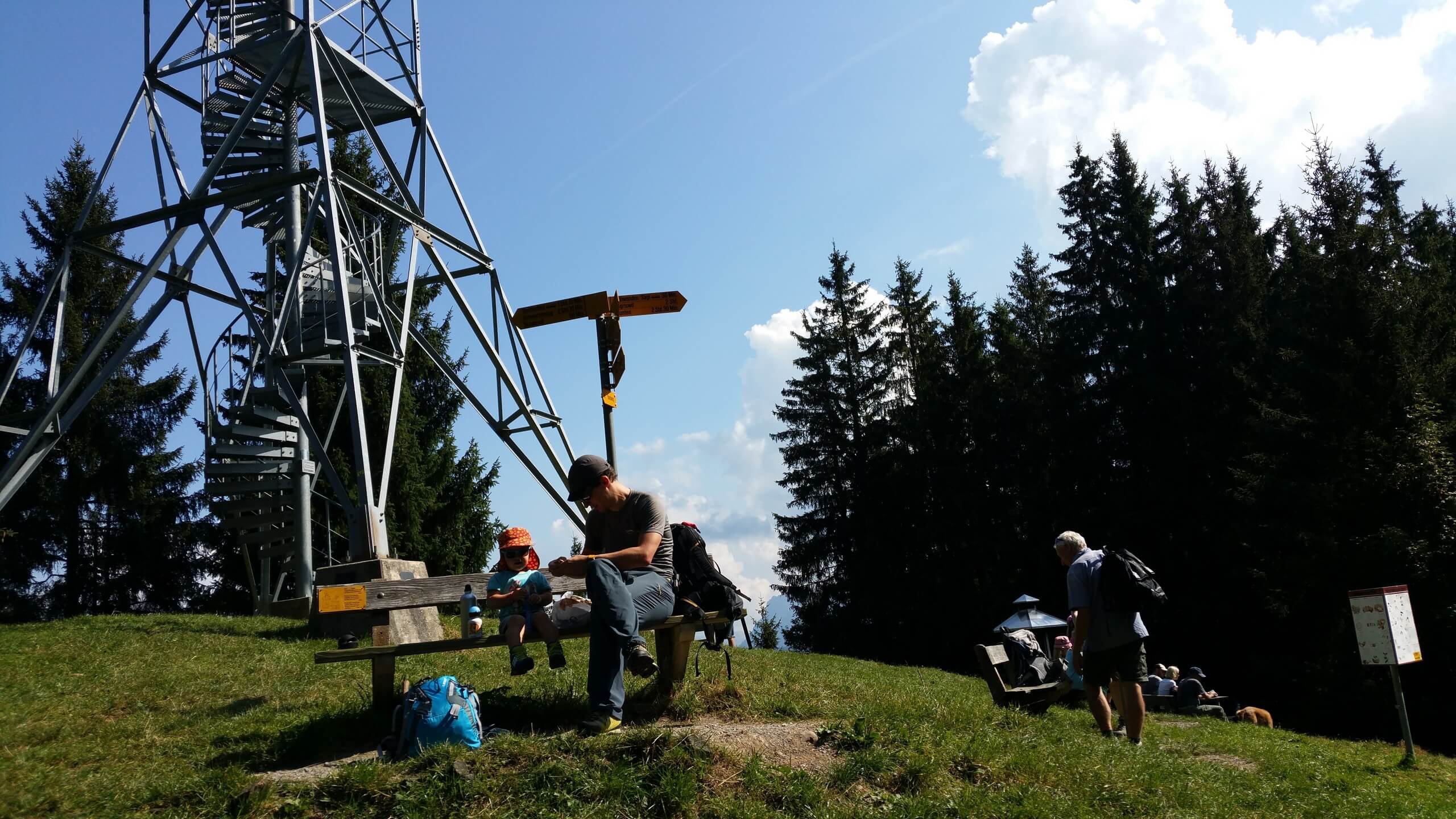 sigriswil-blumenturm-aussicht-wandern-sommer-panorama