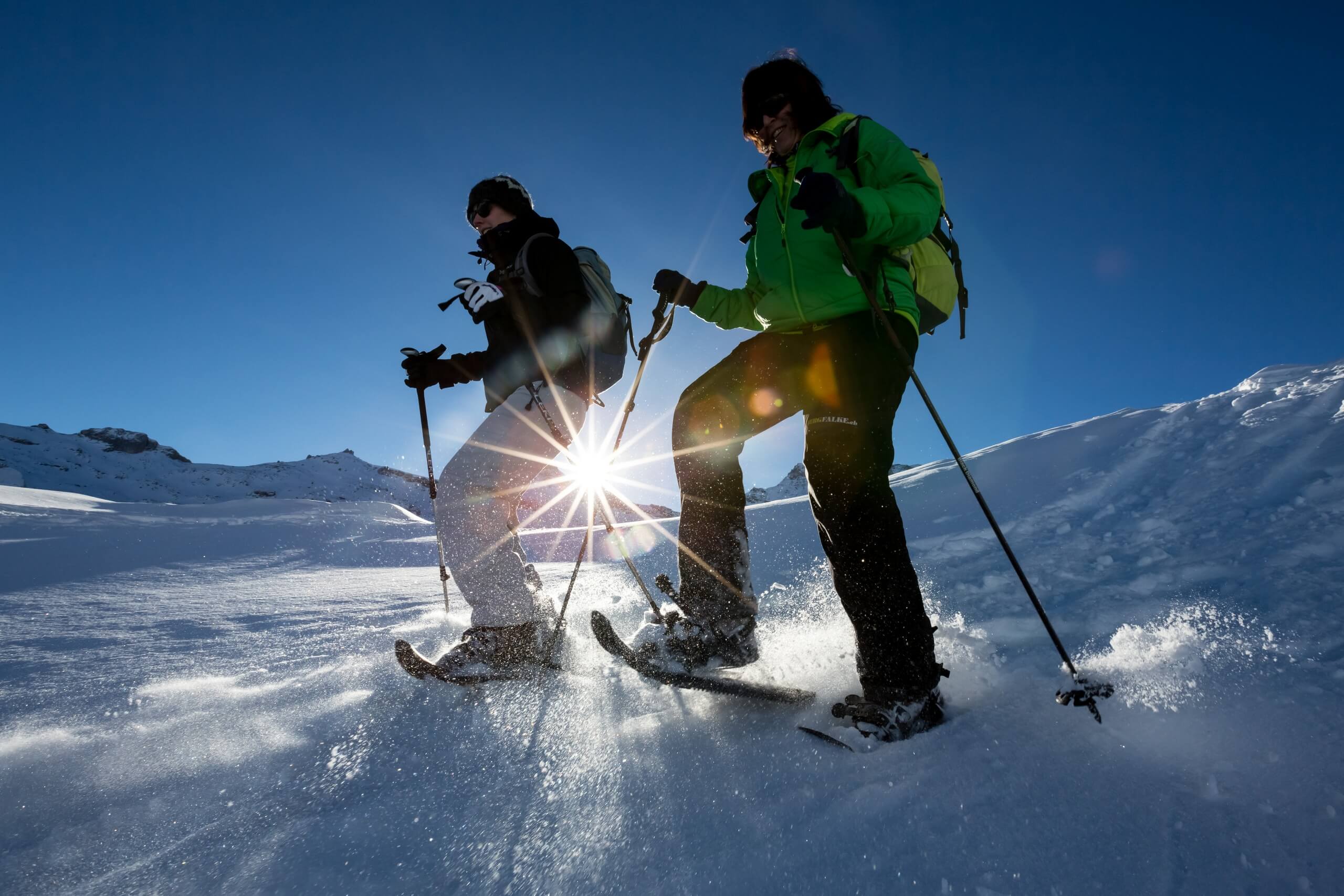 alpinschule-bergfalke-thun-schneeschuhtour-winter