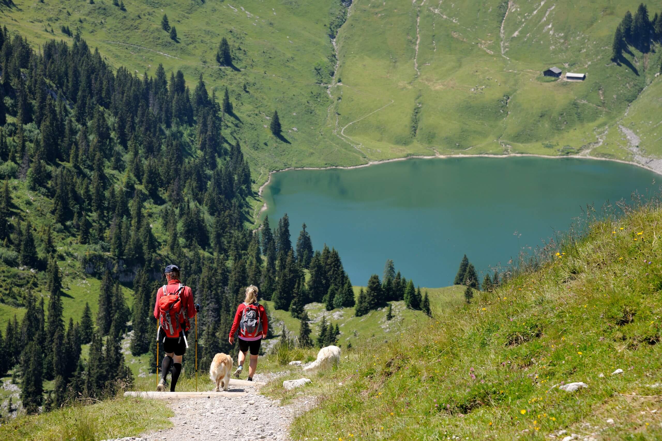 stockhorn-wandern-sommer-kulinariktrail