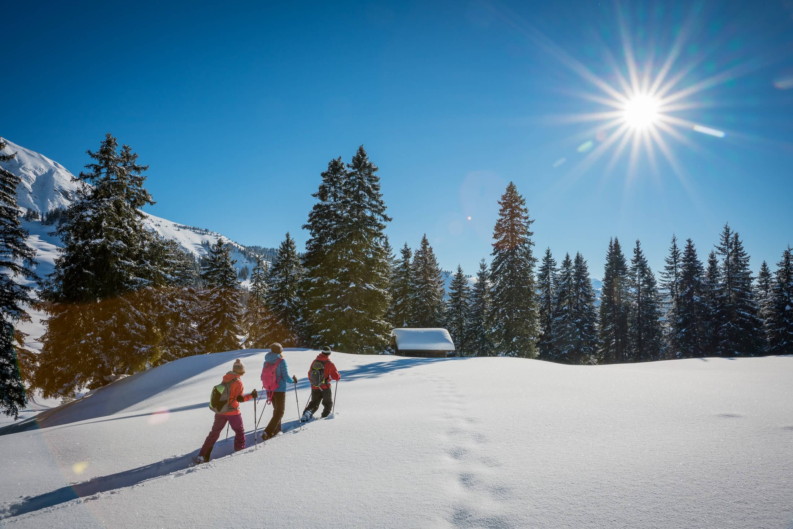 habkern-lombachalp-winter-schneeschuhlaufen-wald-huettli-soft-adventure