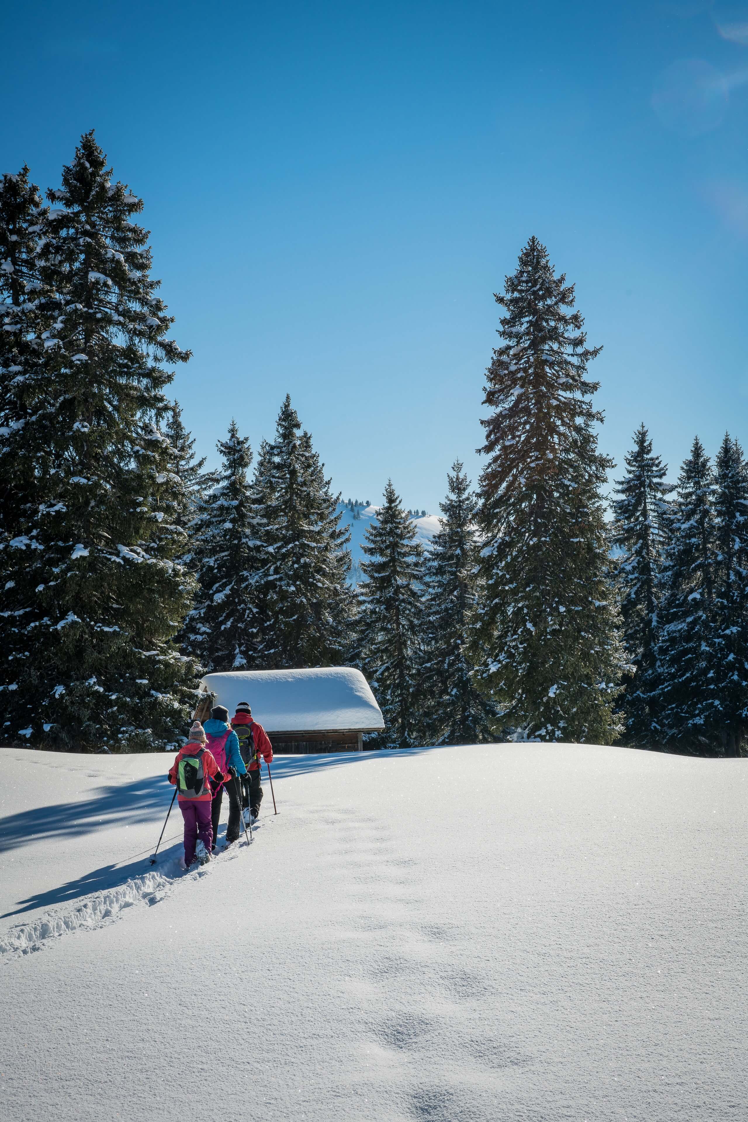 habkern-lombachalp-winter-schneeschuhlaufen-wald-huettli-soft-adventure-hoch